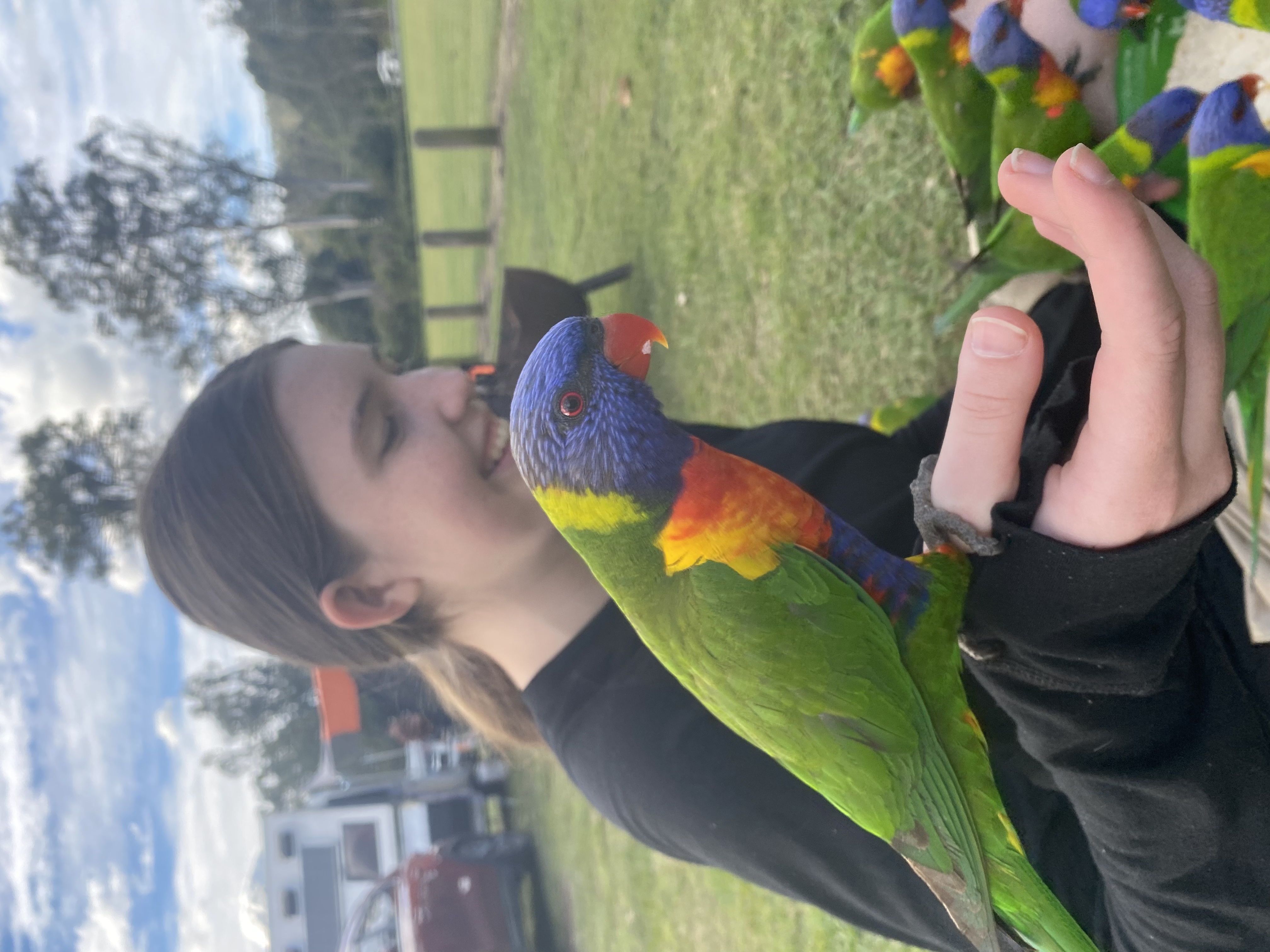 image-16