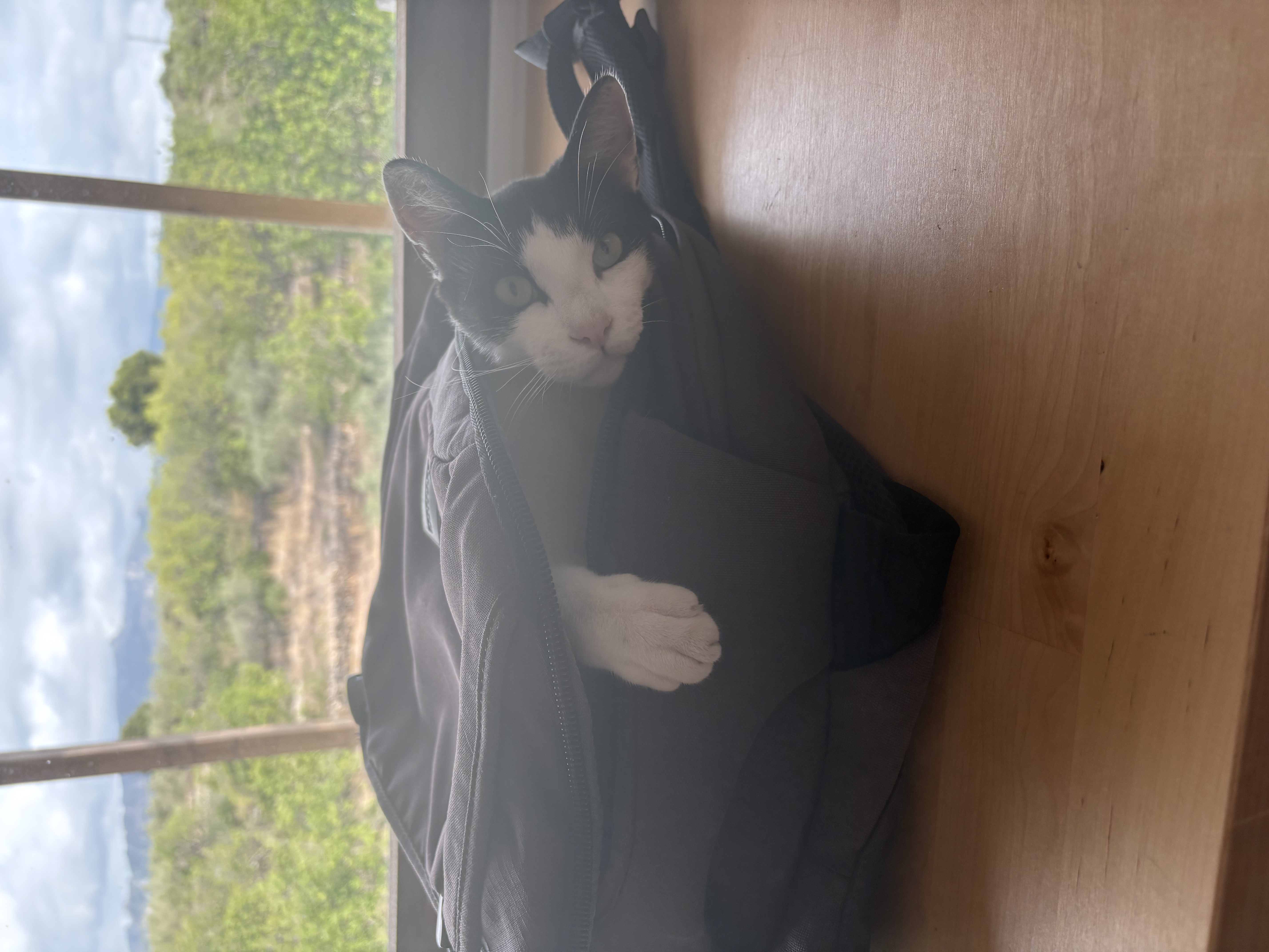 image-6
