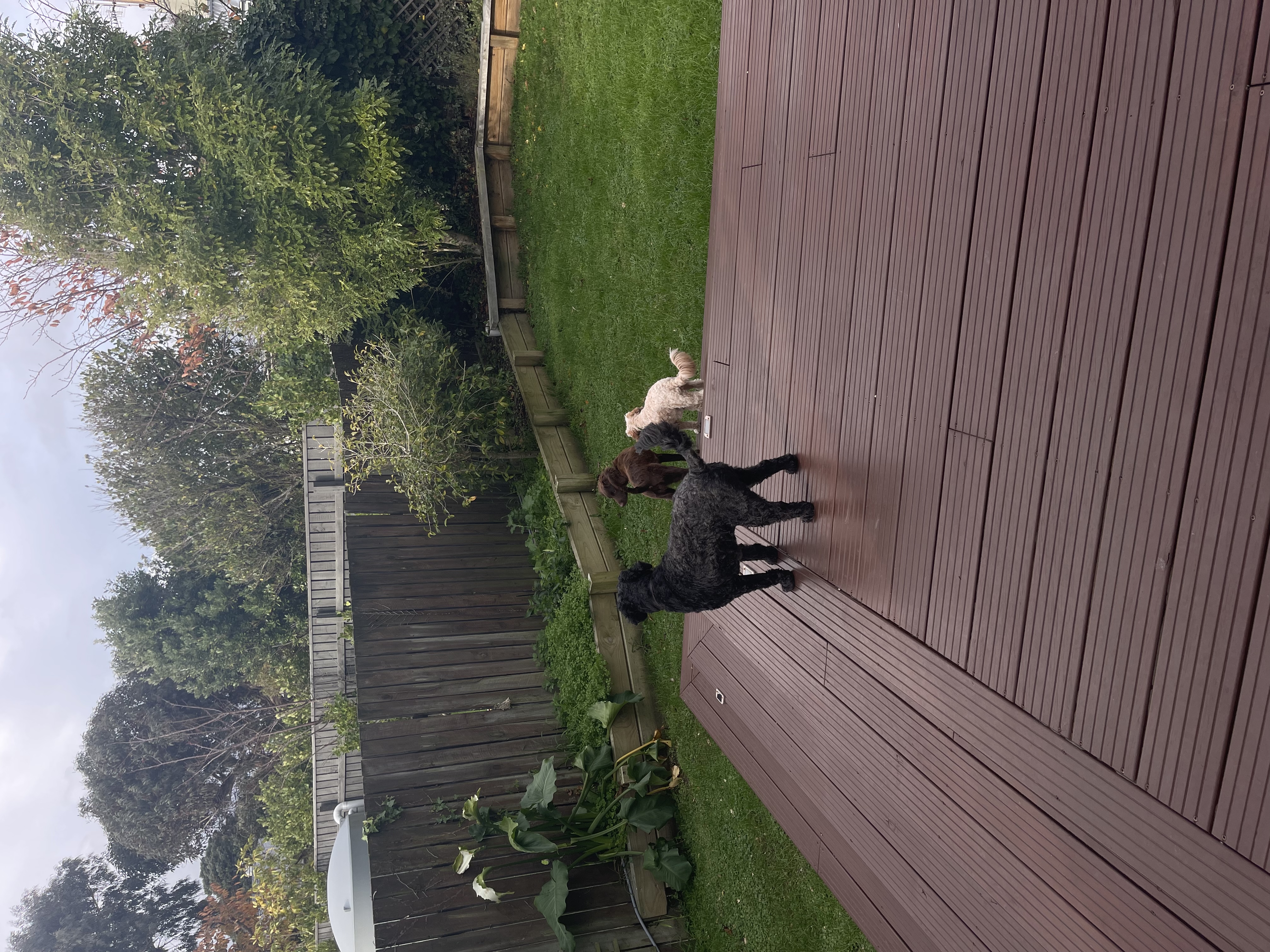 image-9