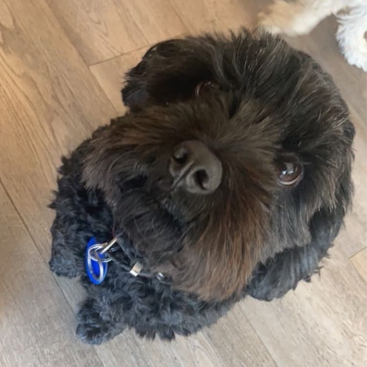 Max