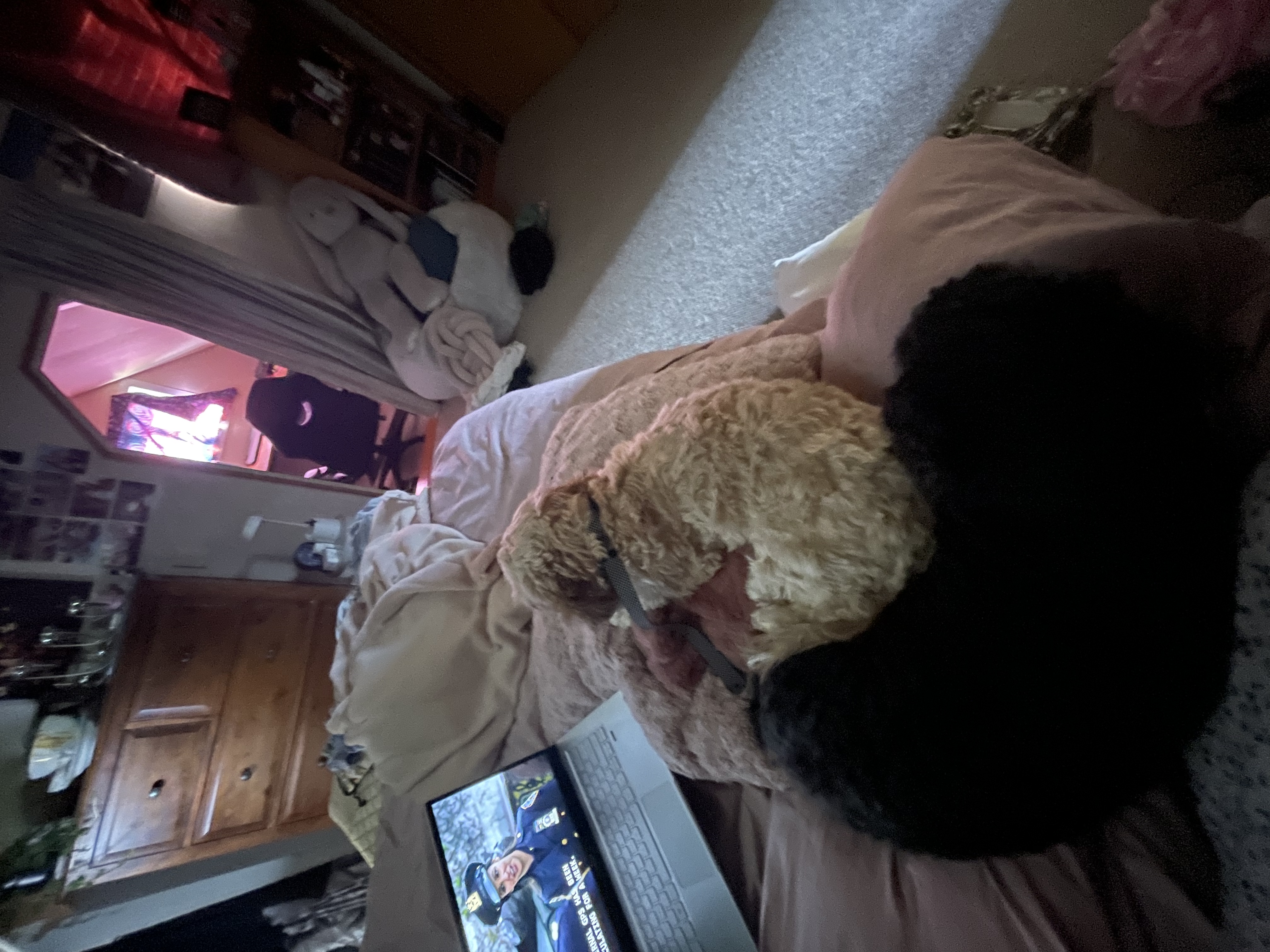 image-10
