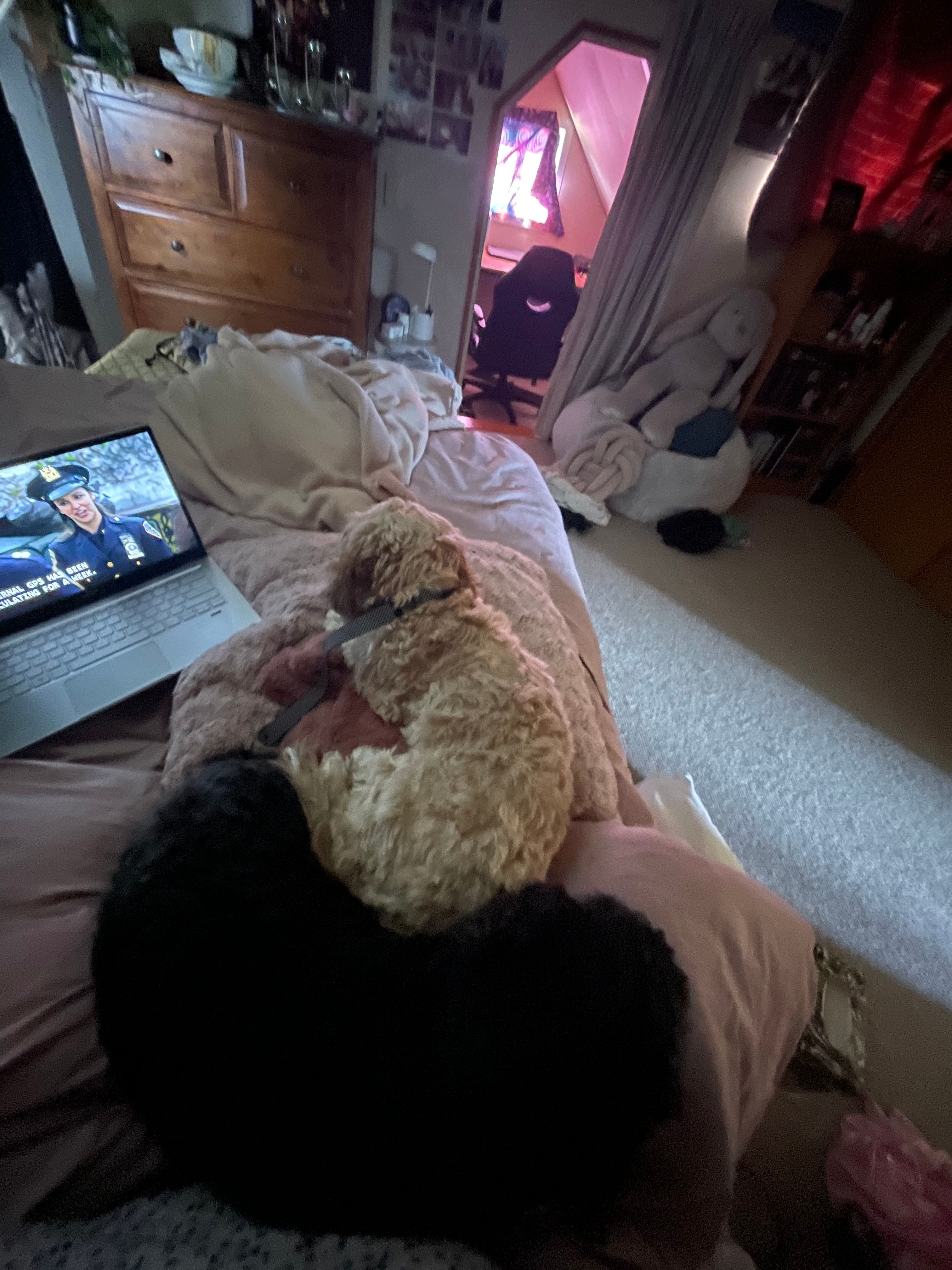 image-10
