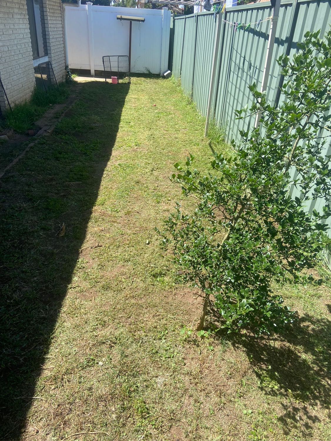 image-5