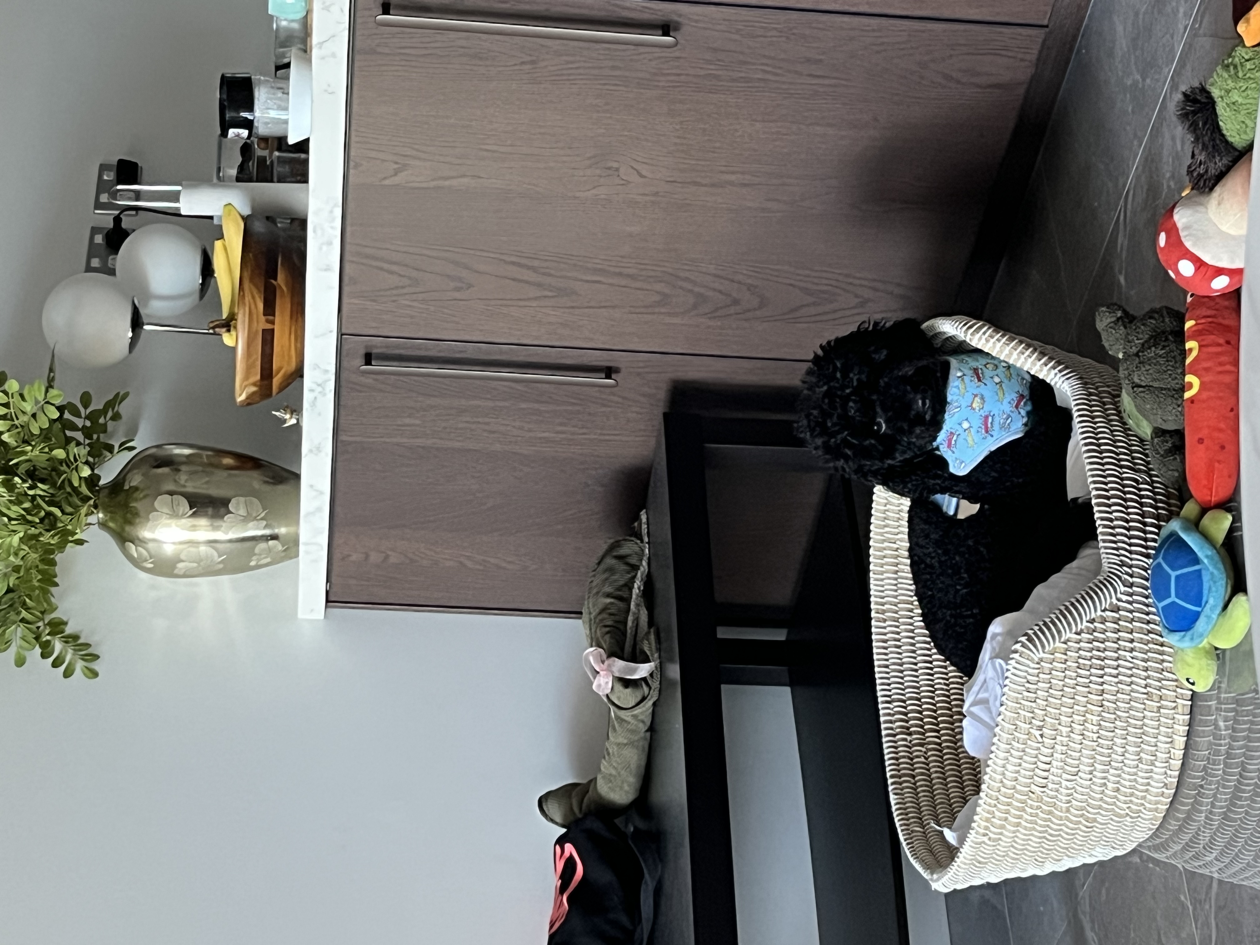 image-7