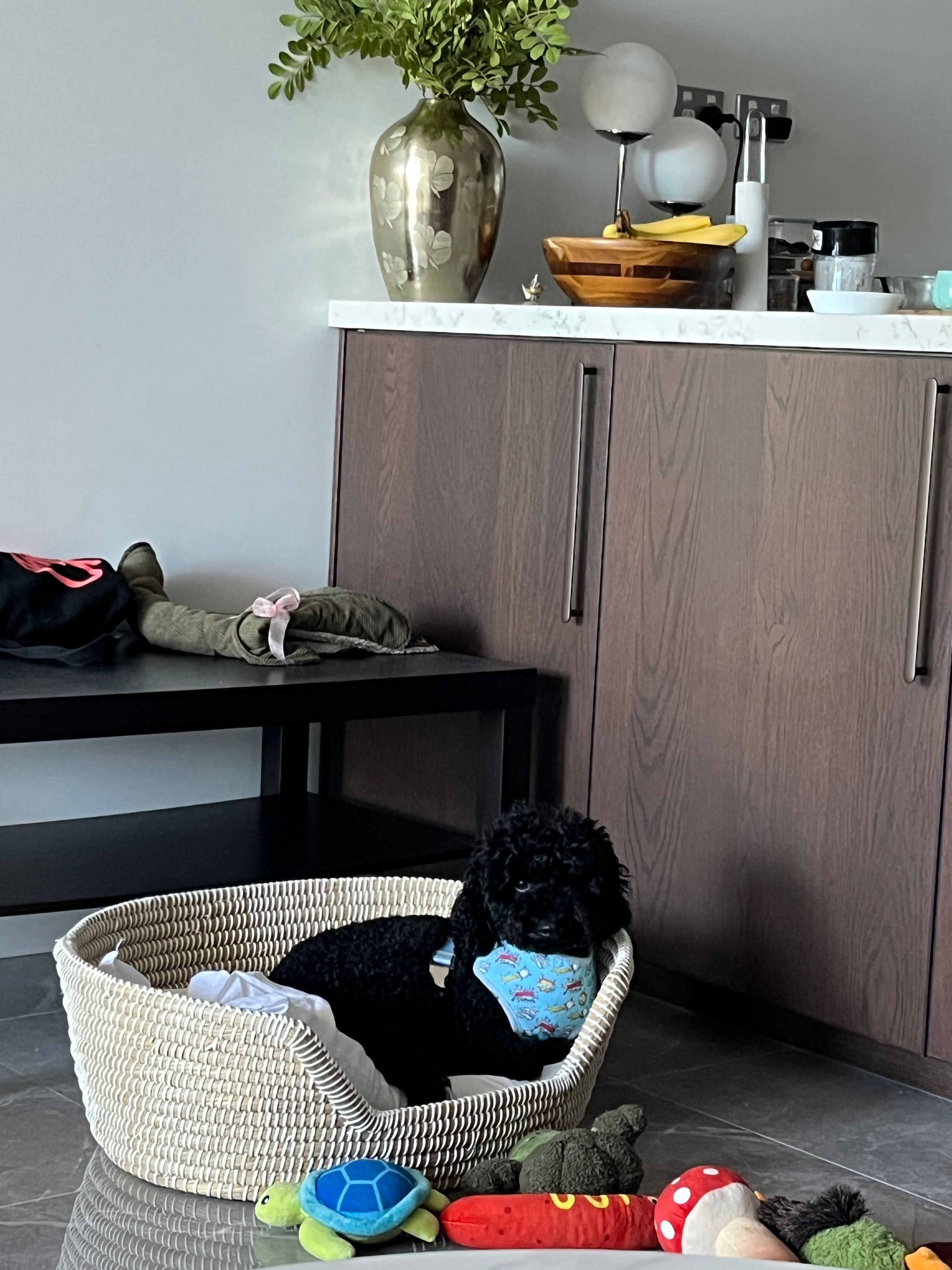 image-7