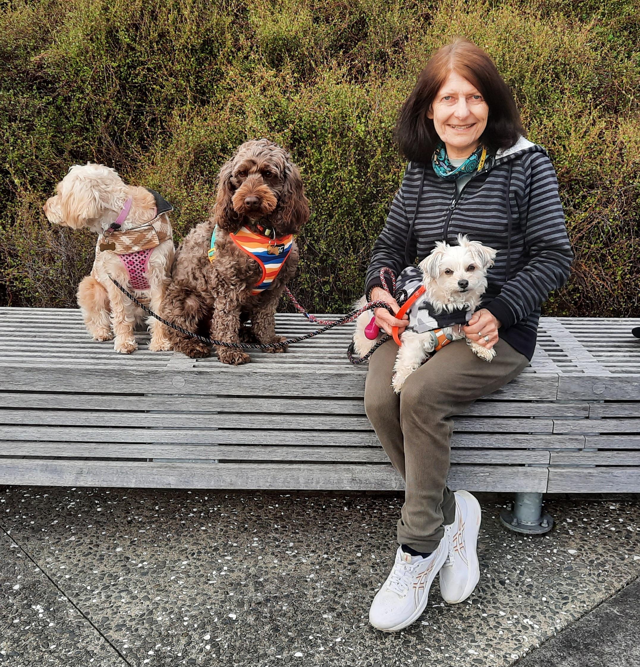 image-2