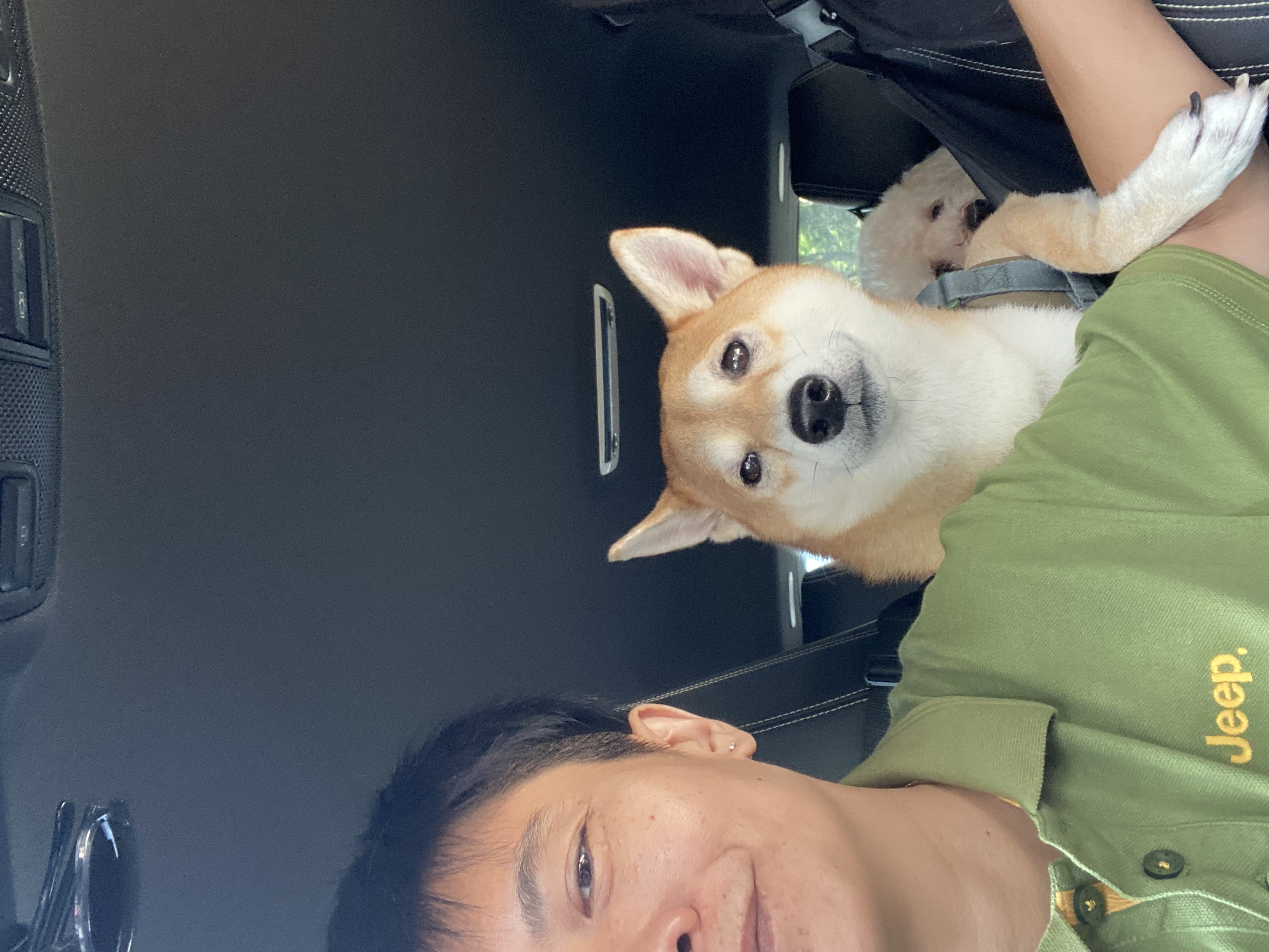image-11