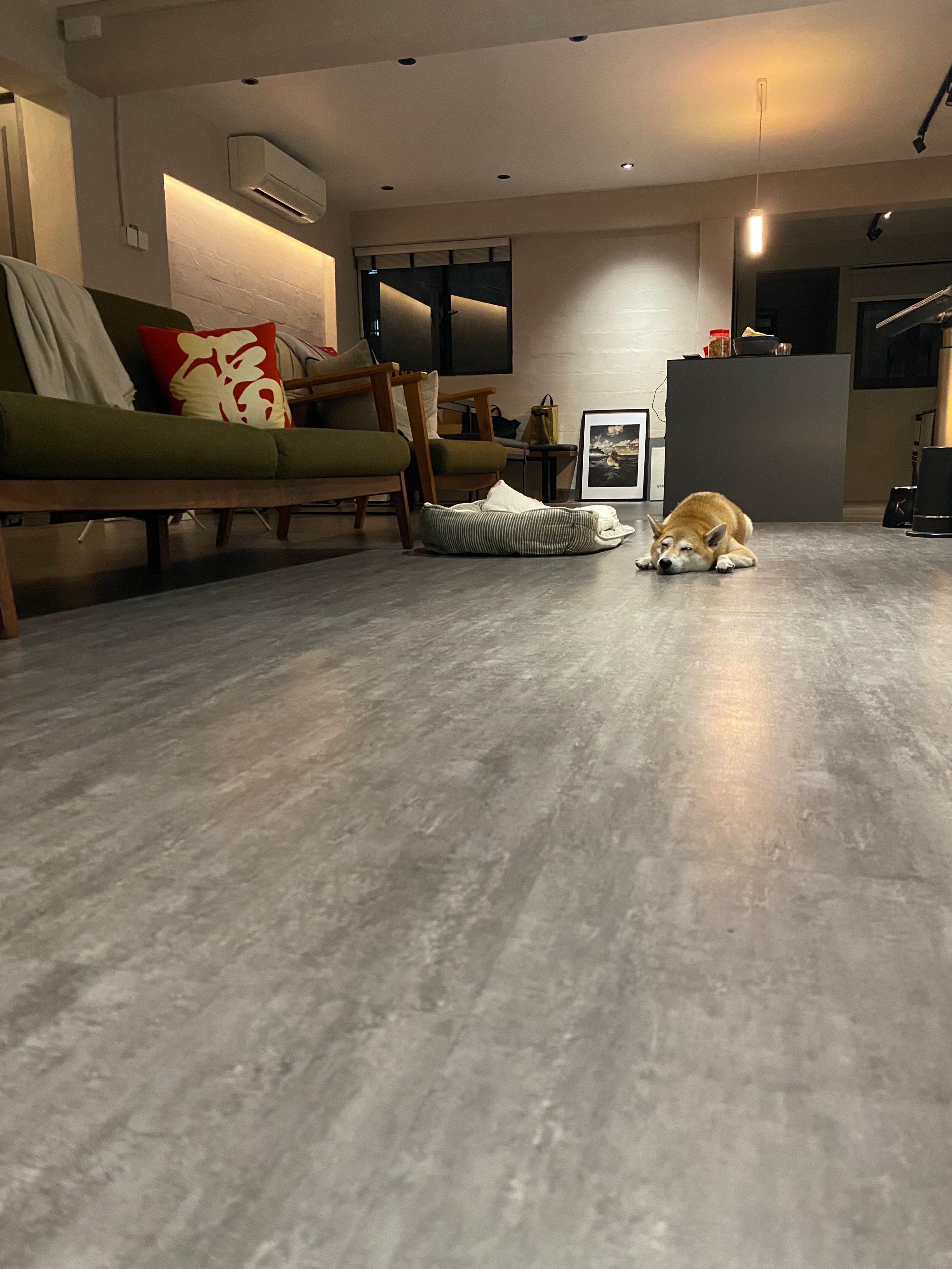 image-18