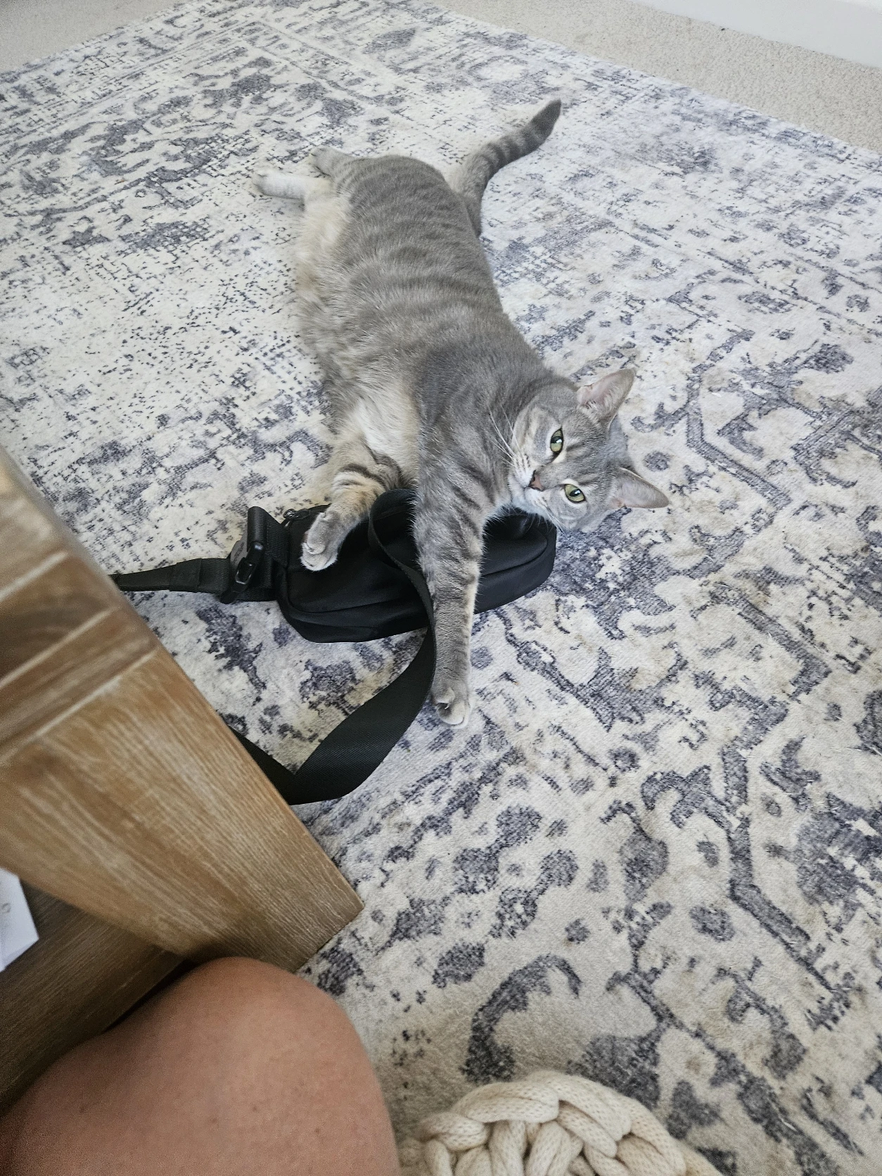 image-13