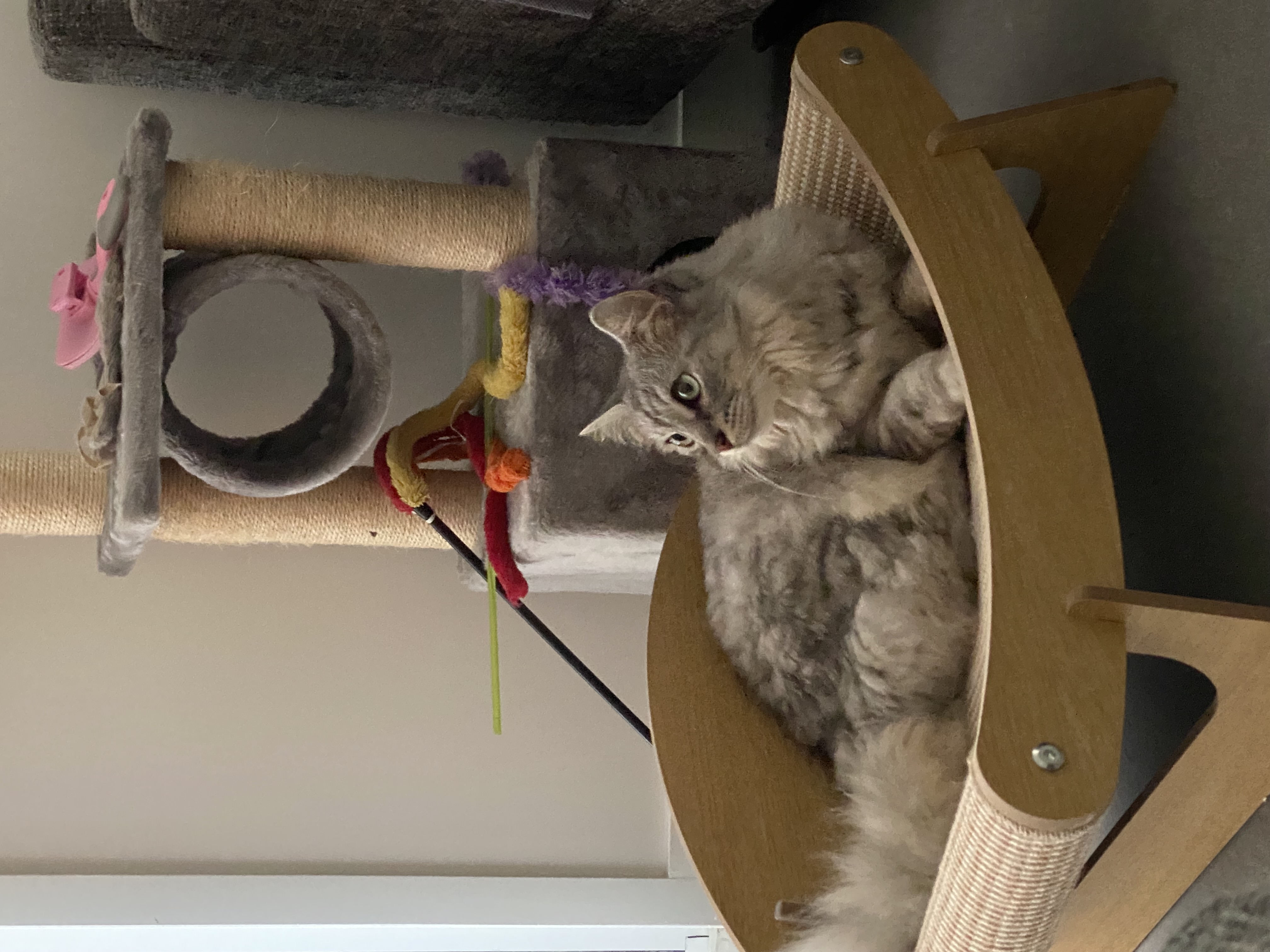 image-8