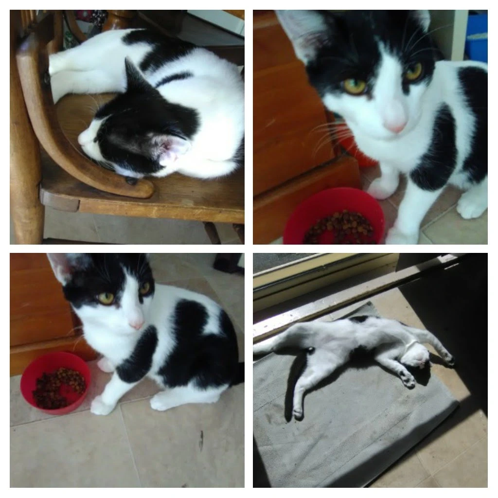 image-11