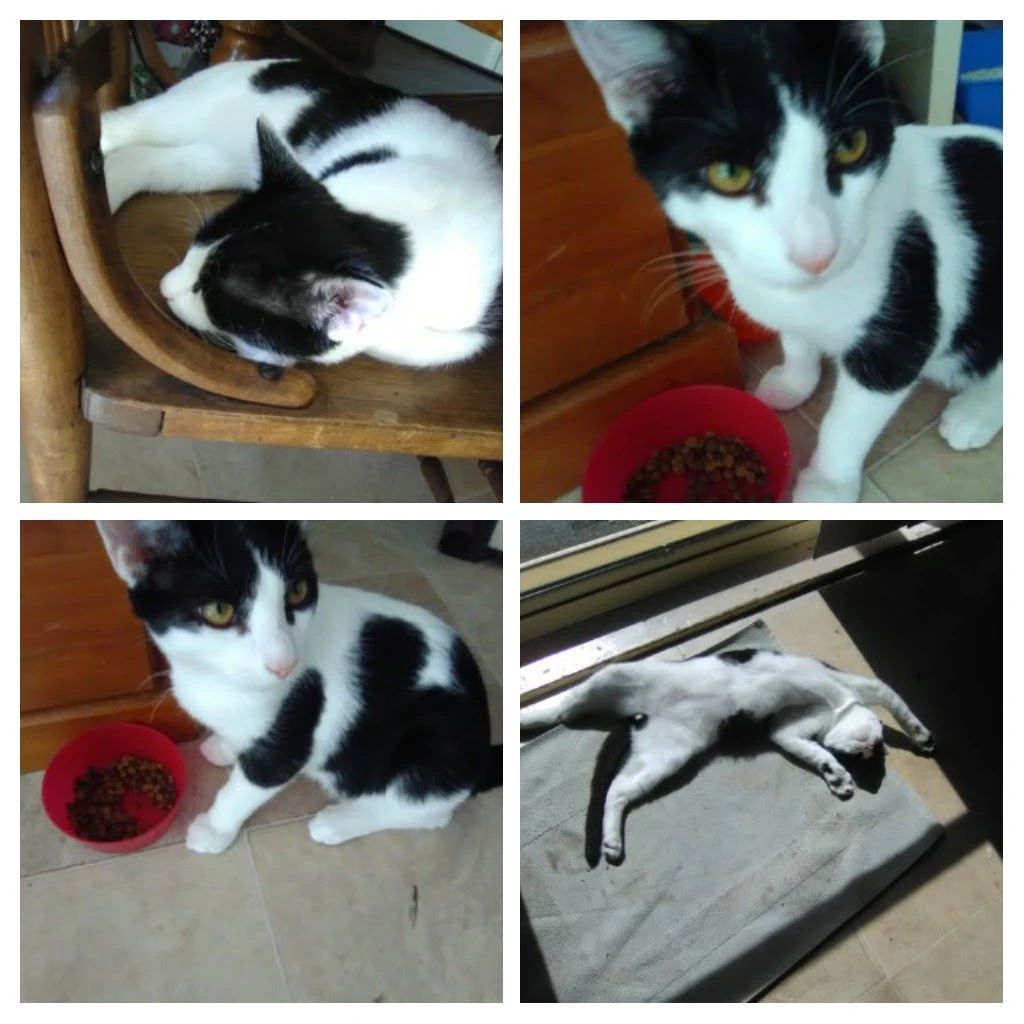 image-11