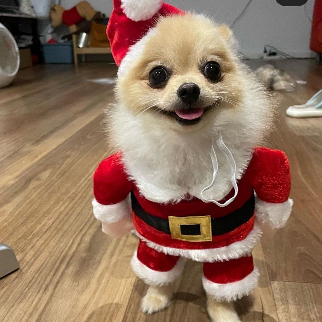 kuku