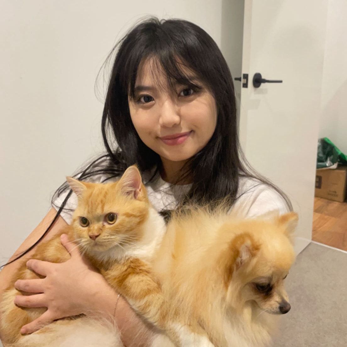 zijia