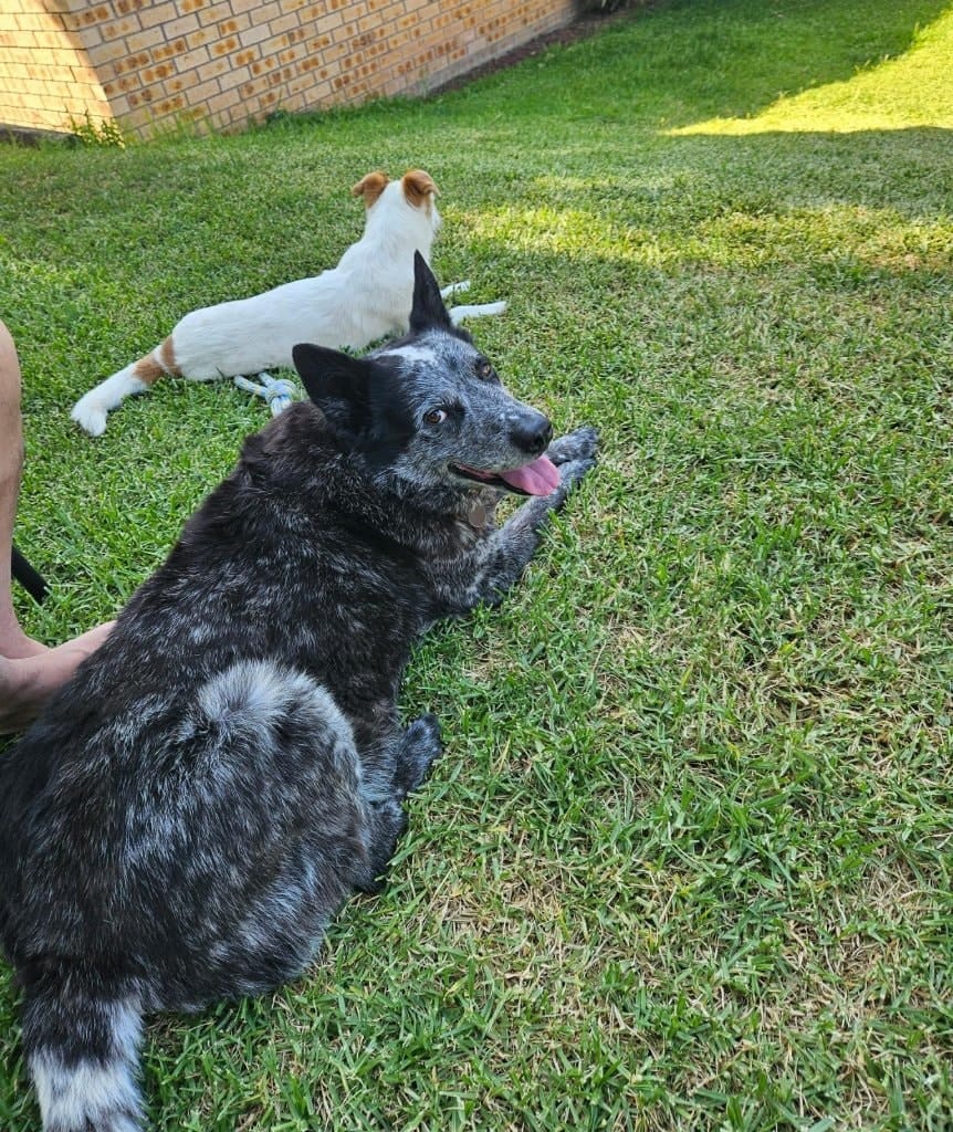 image-5