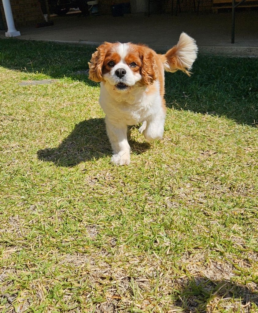 image-8
