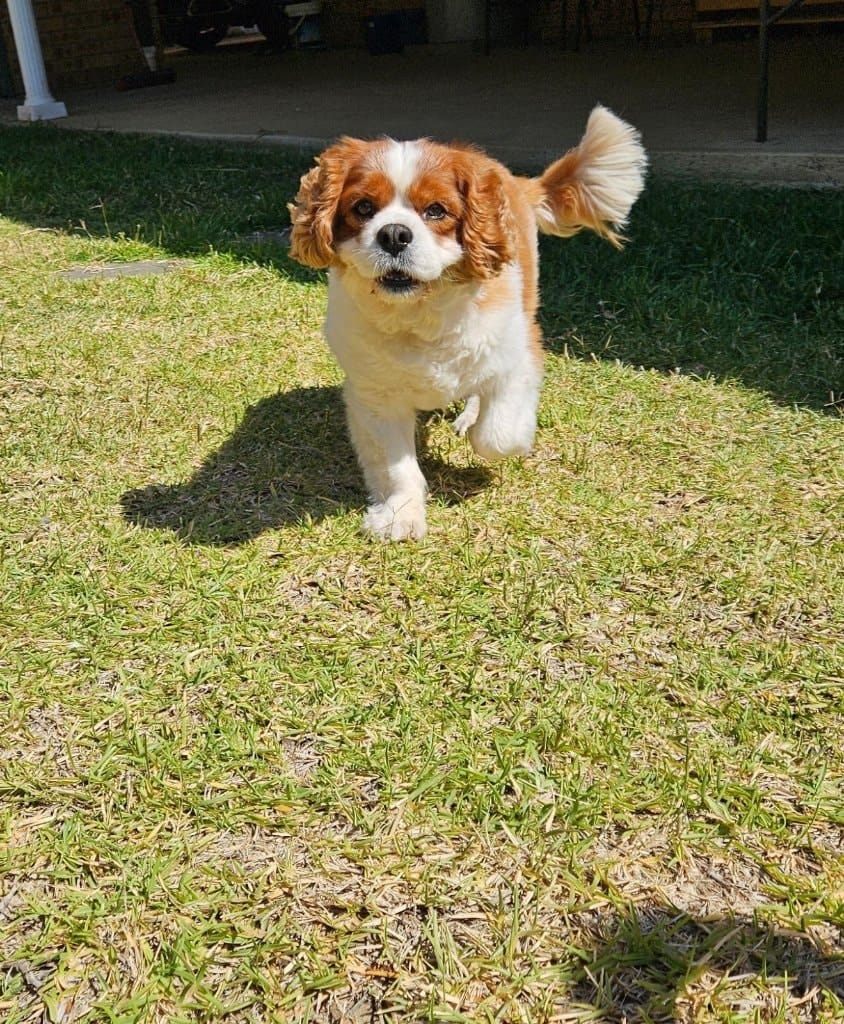 image-8