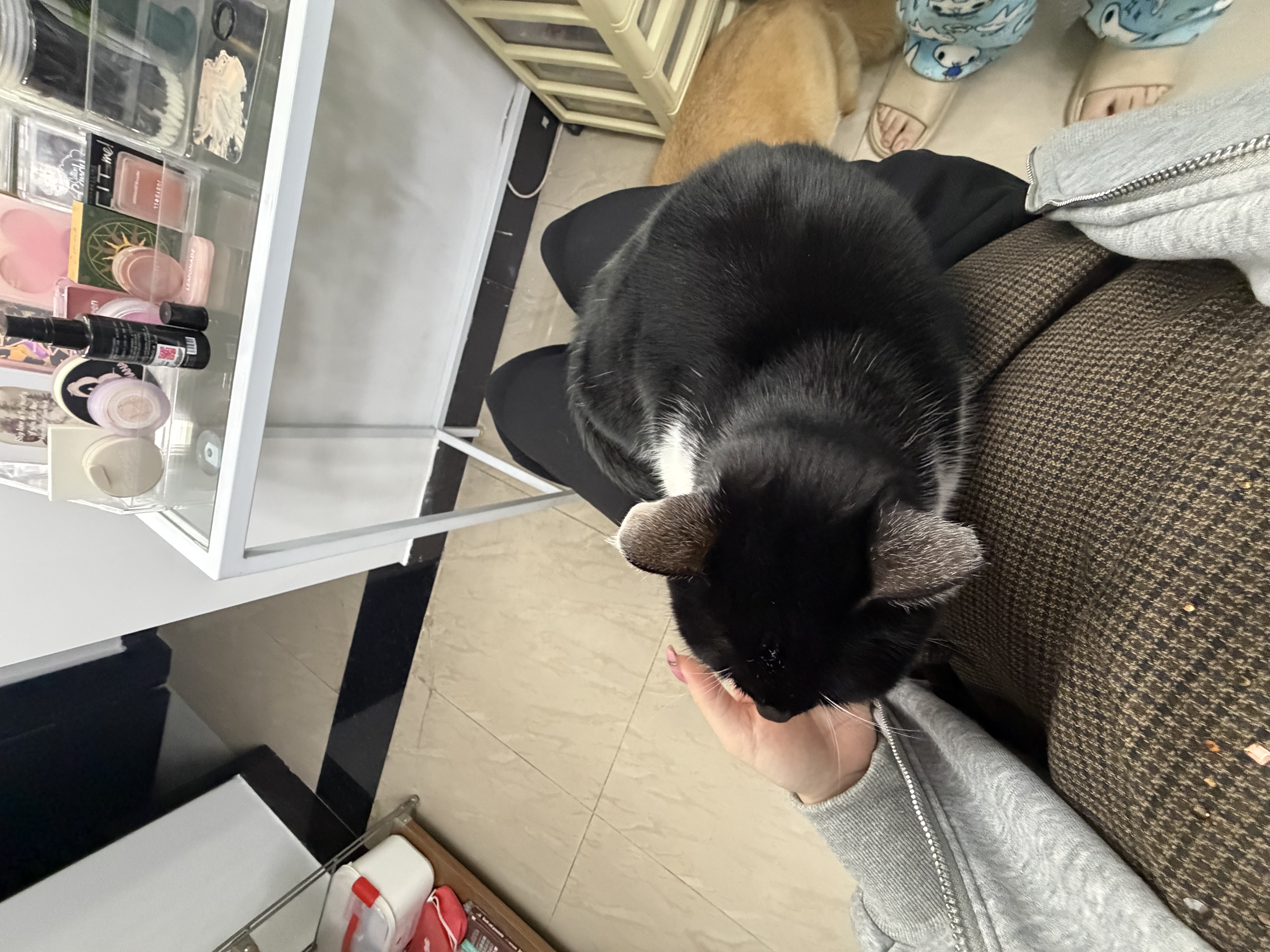 image-5
