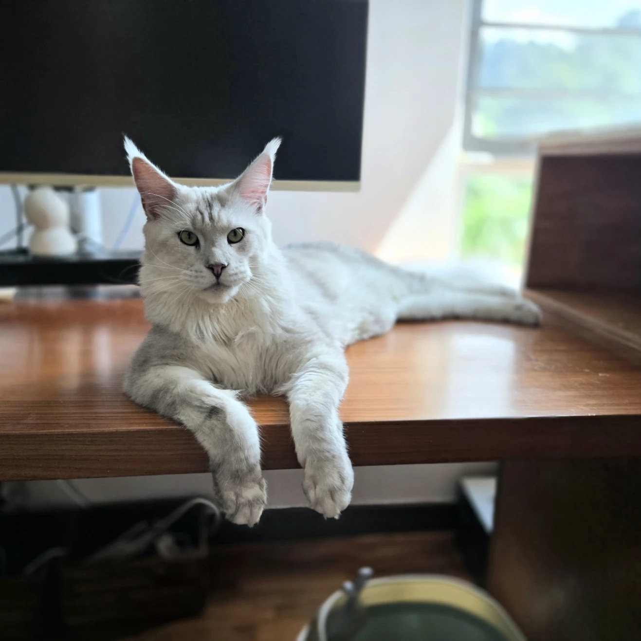Oscar