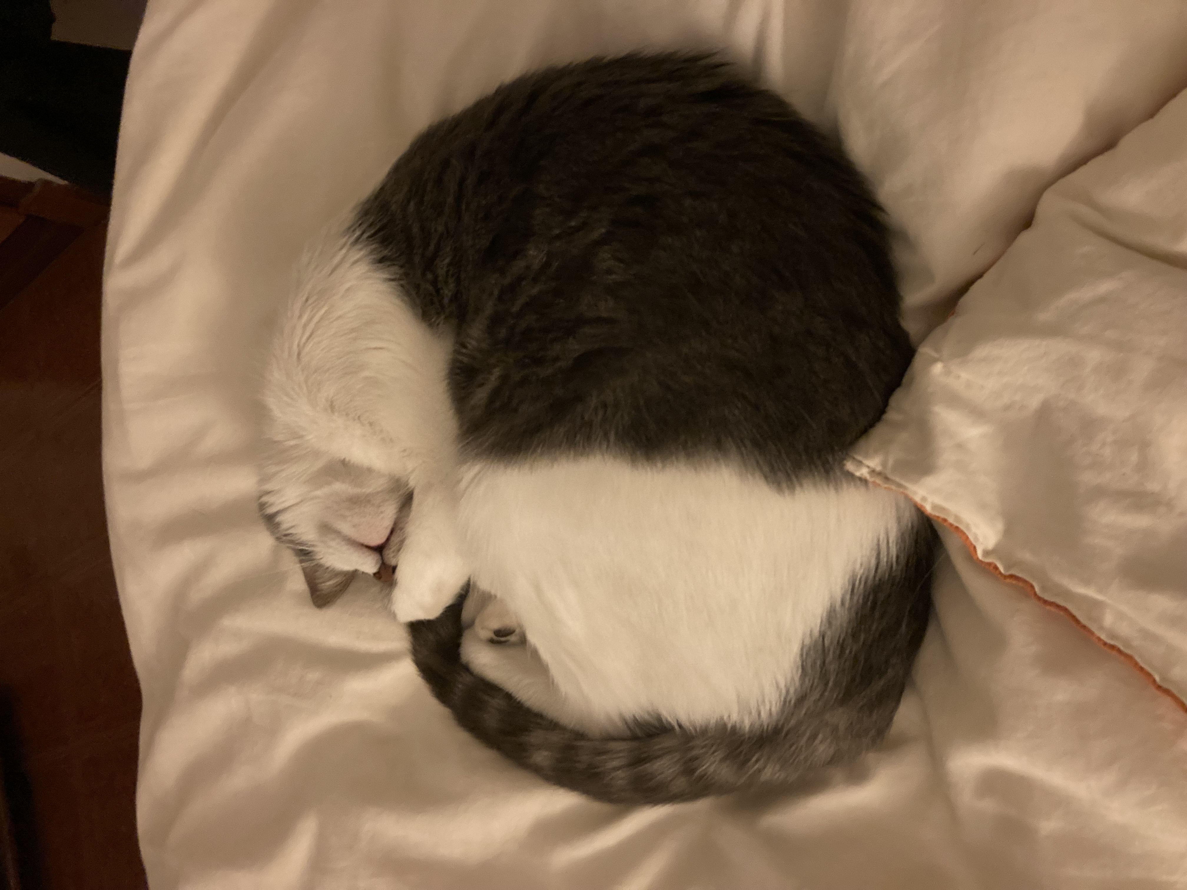 image-10