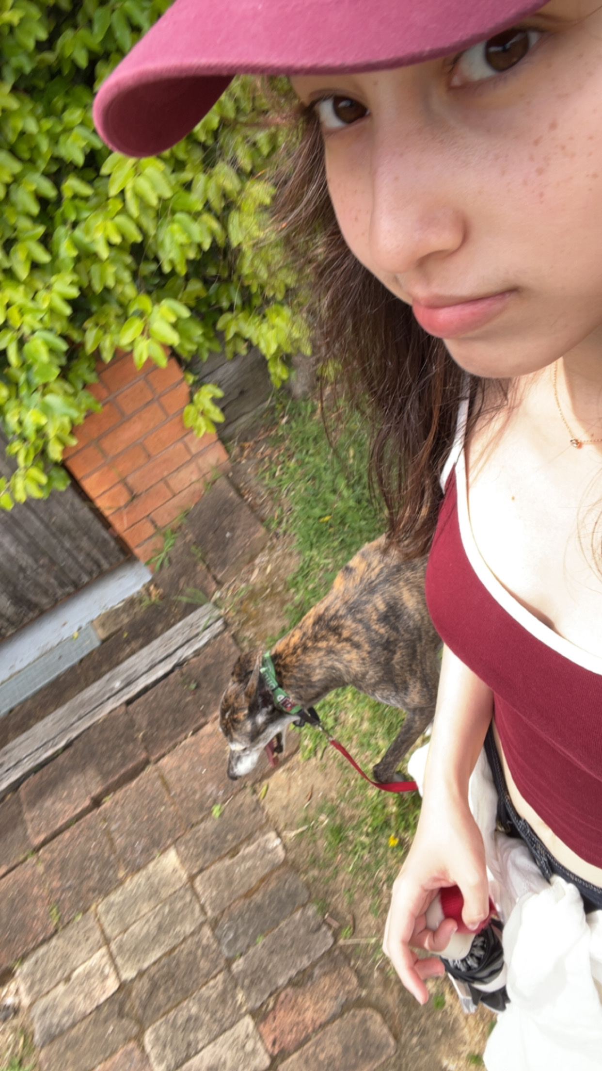 image-20