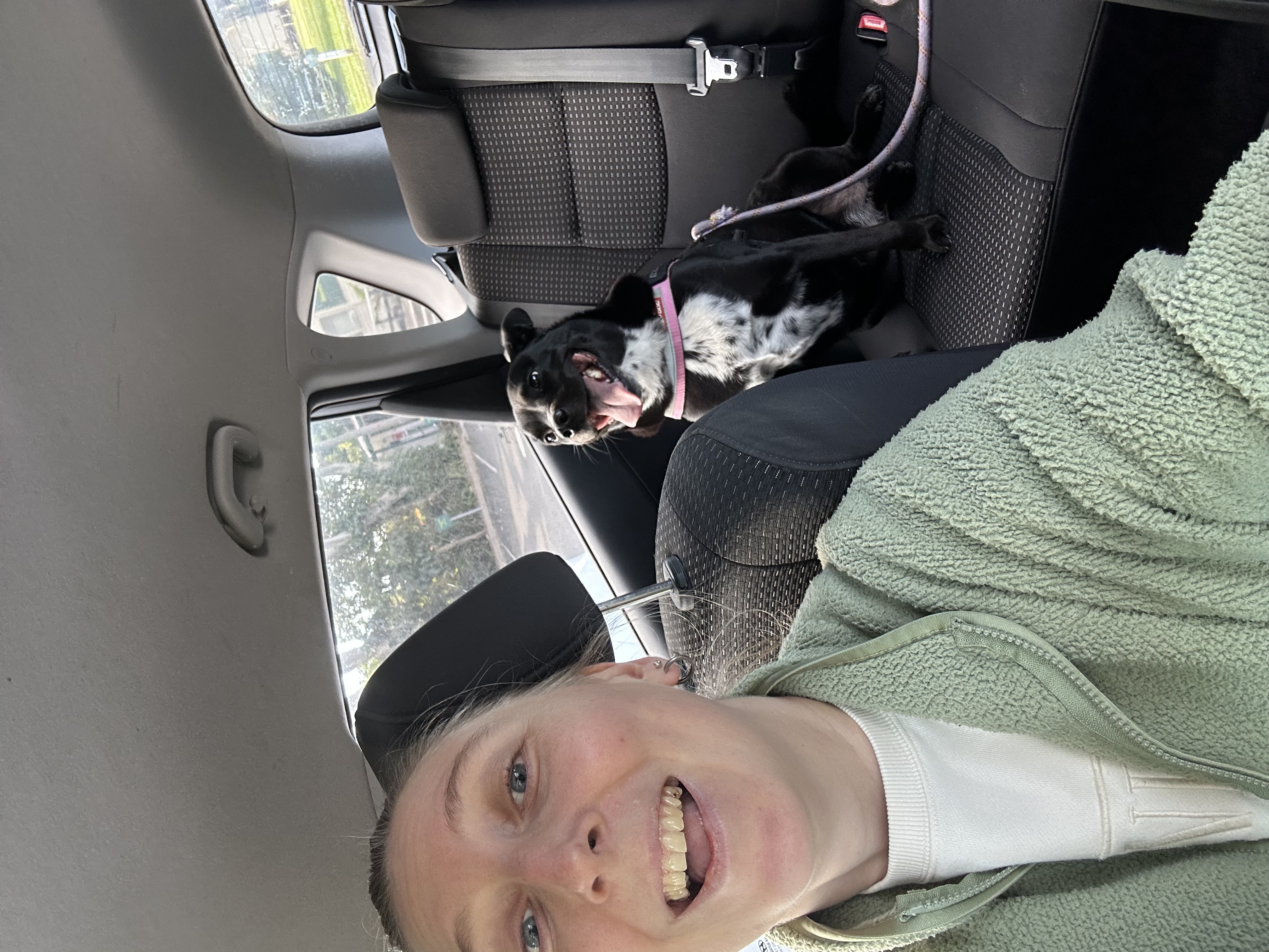 image-3