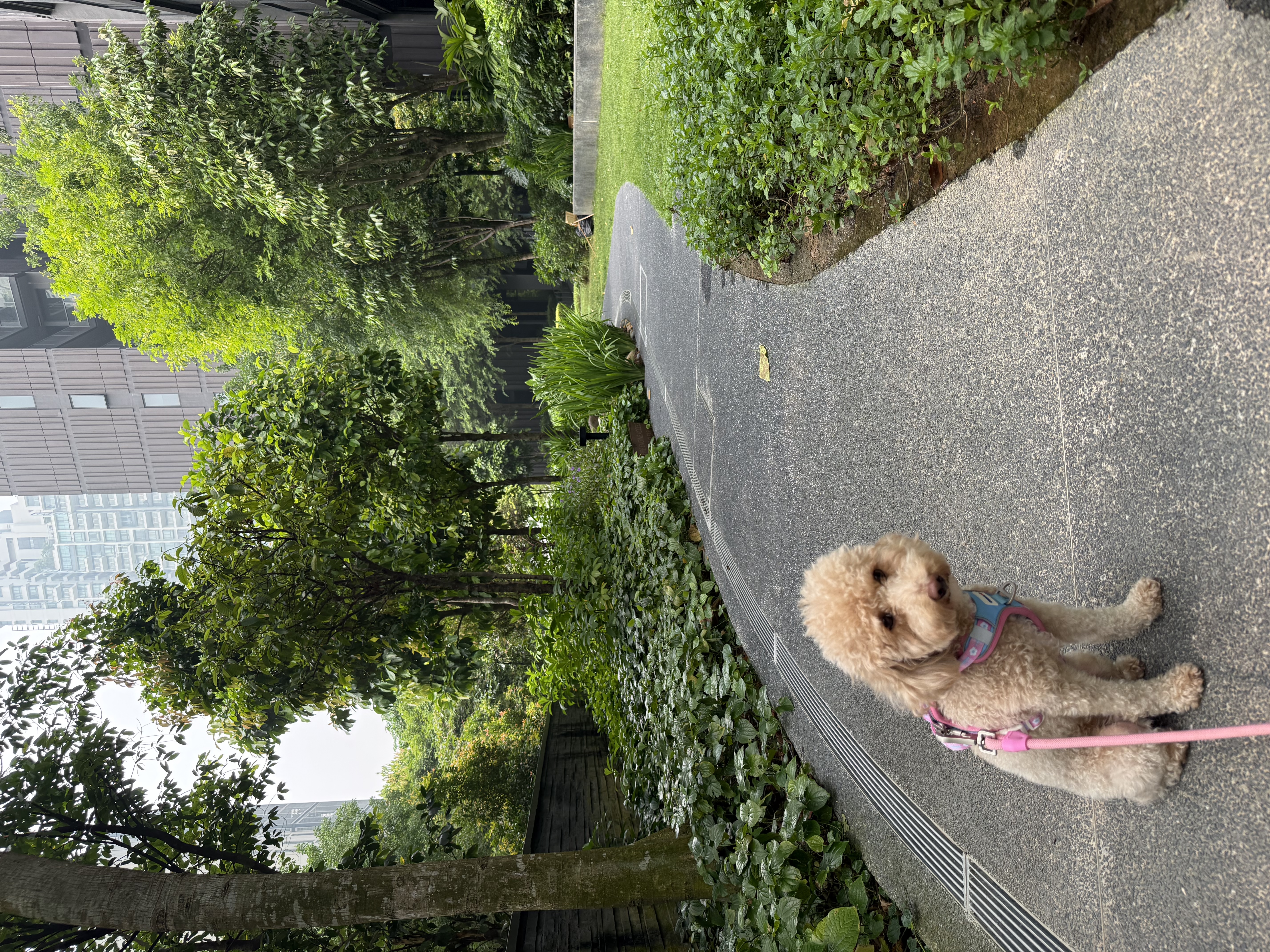 image-14
