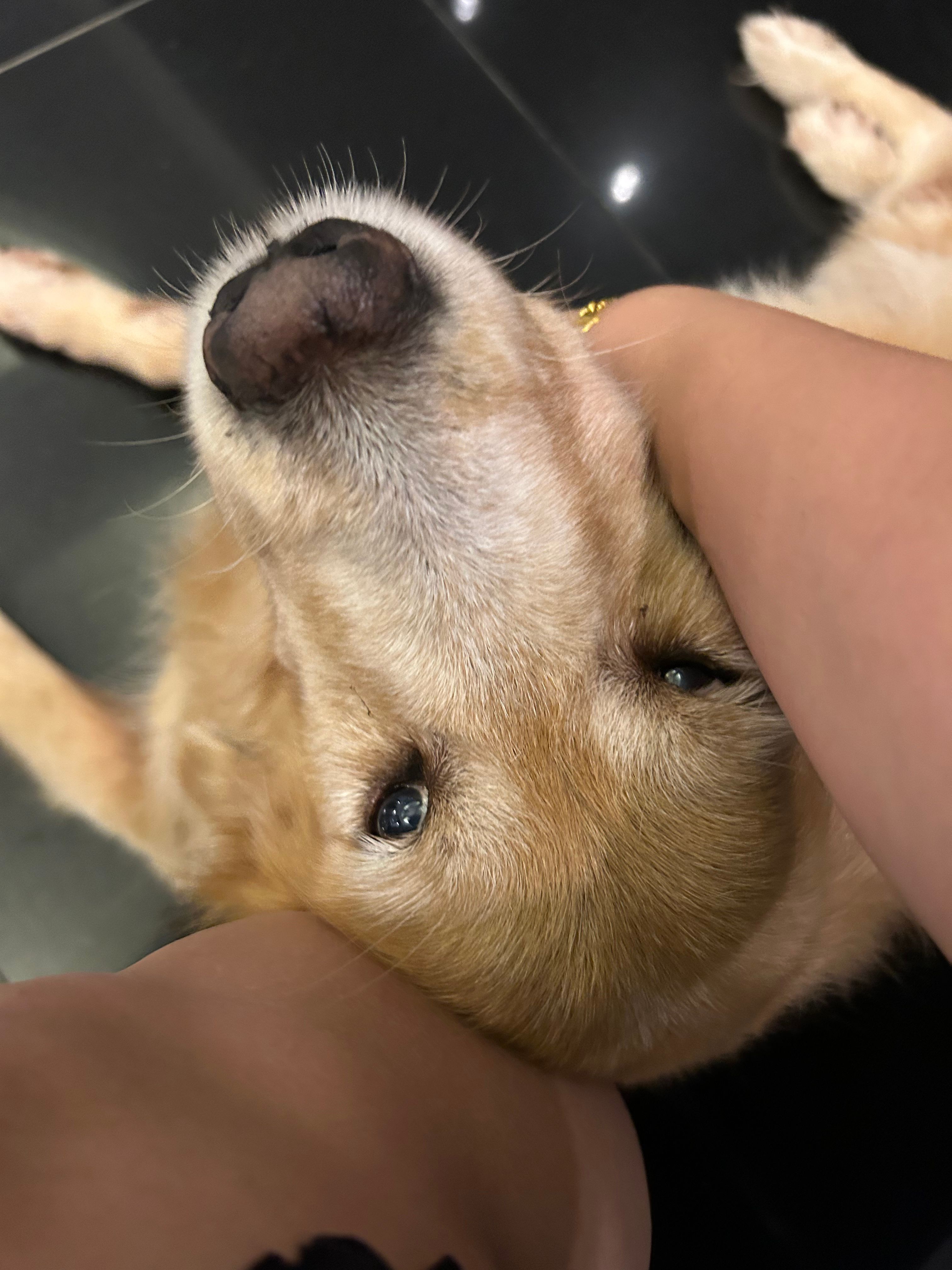 image-8