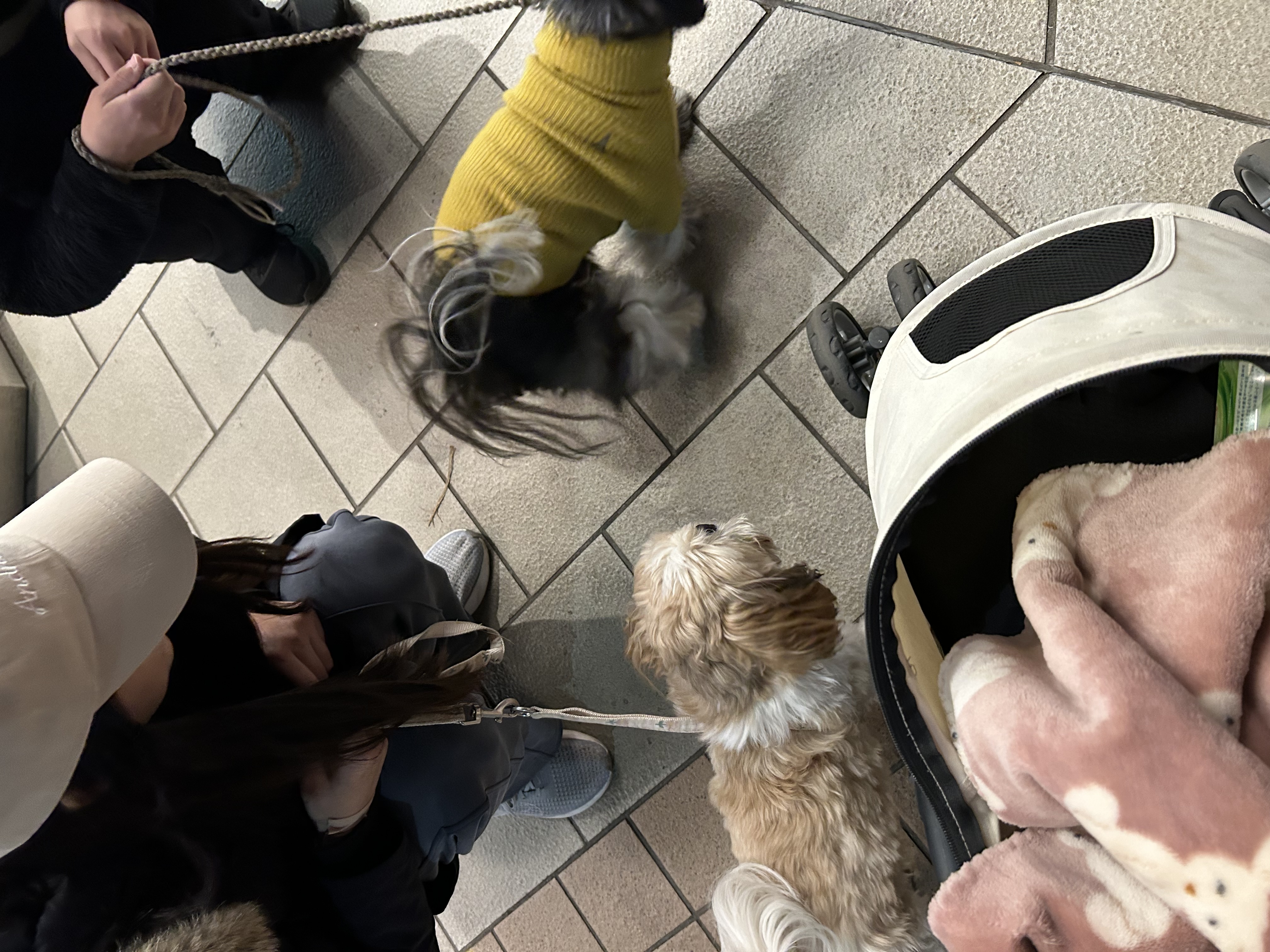 image-7
