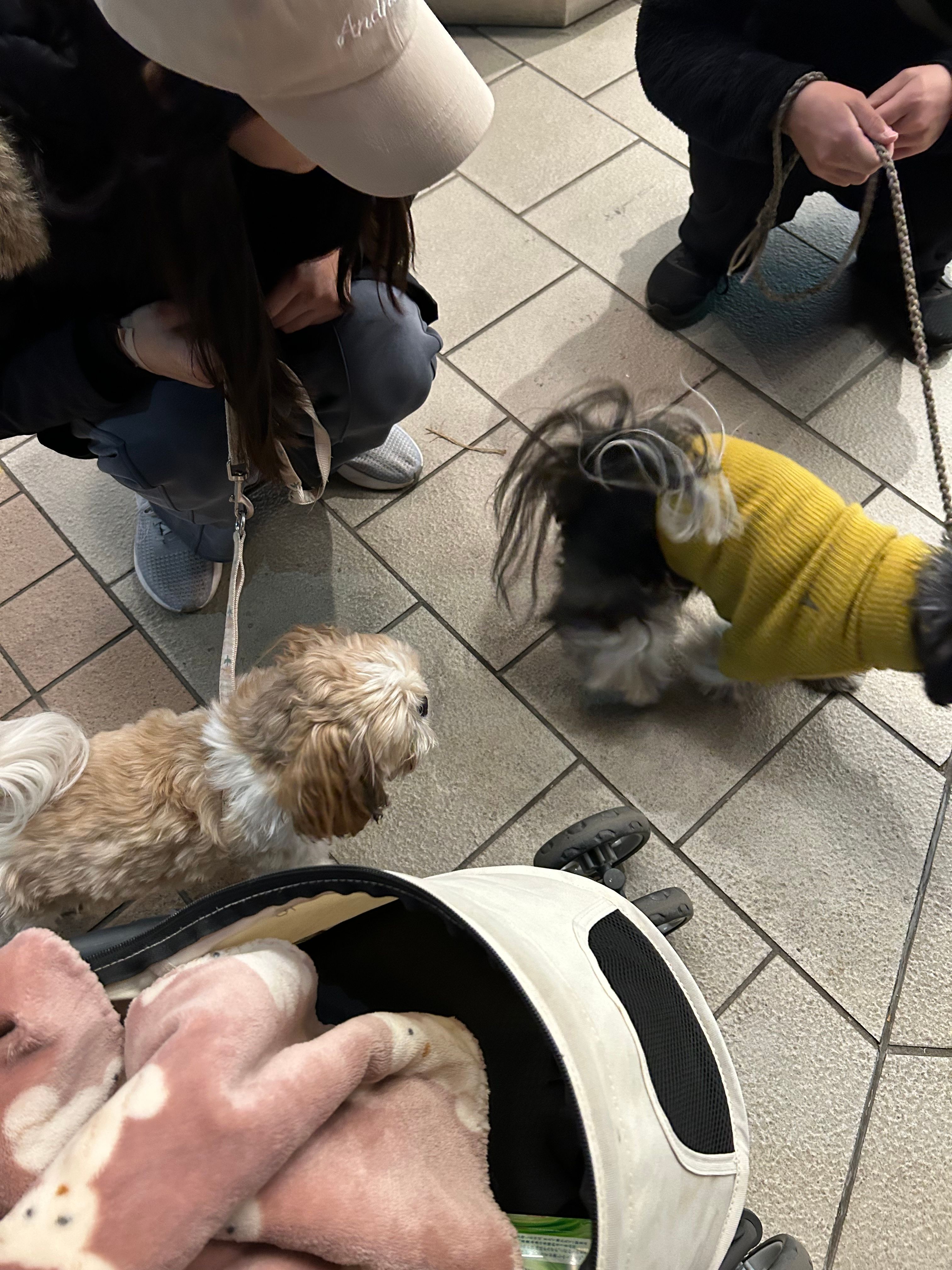 image-7