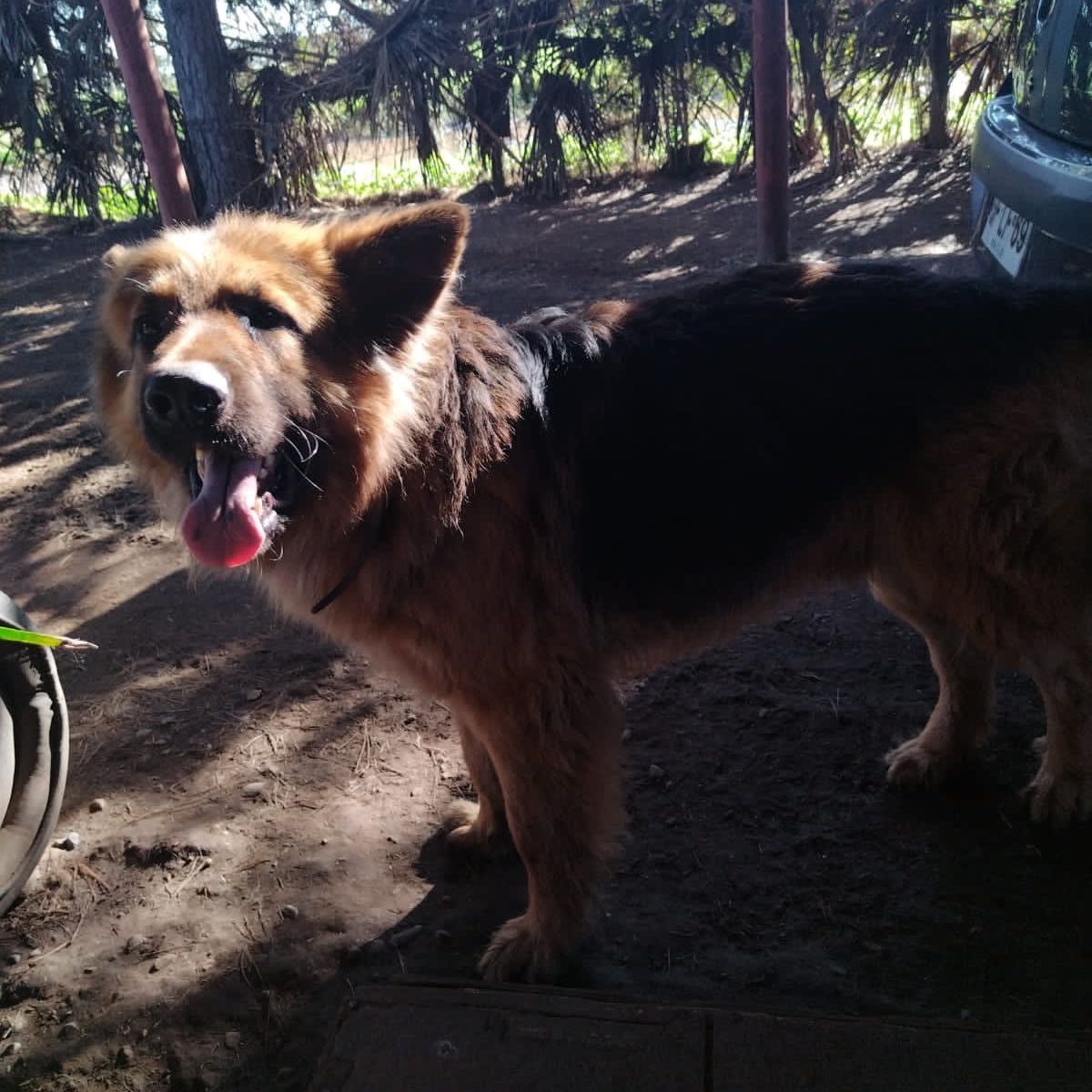 Marley