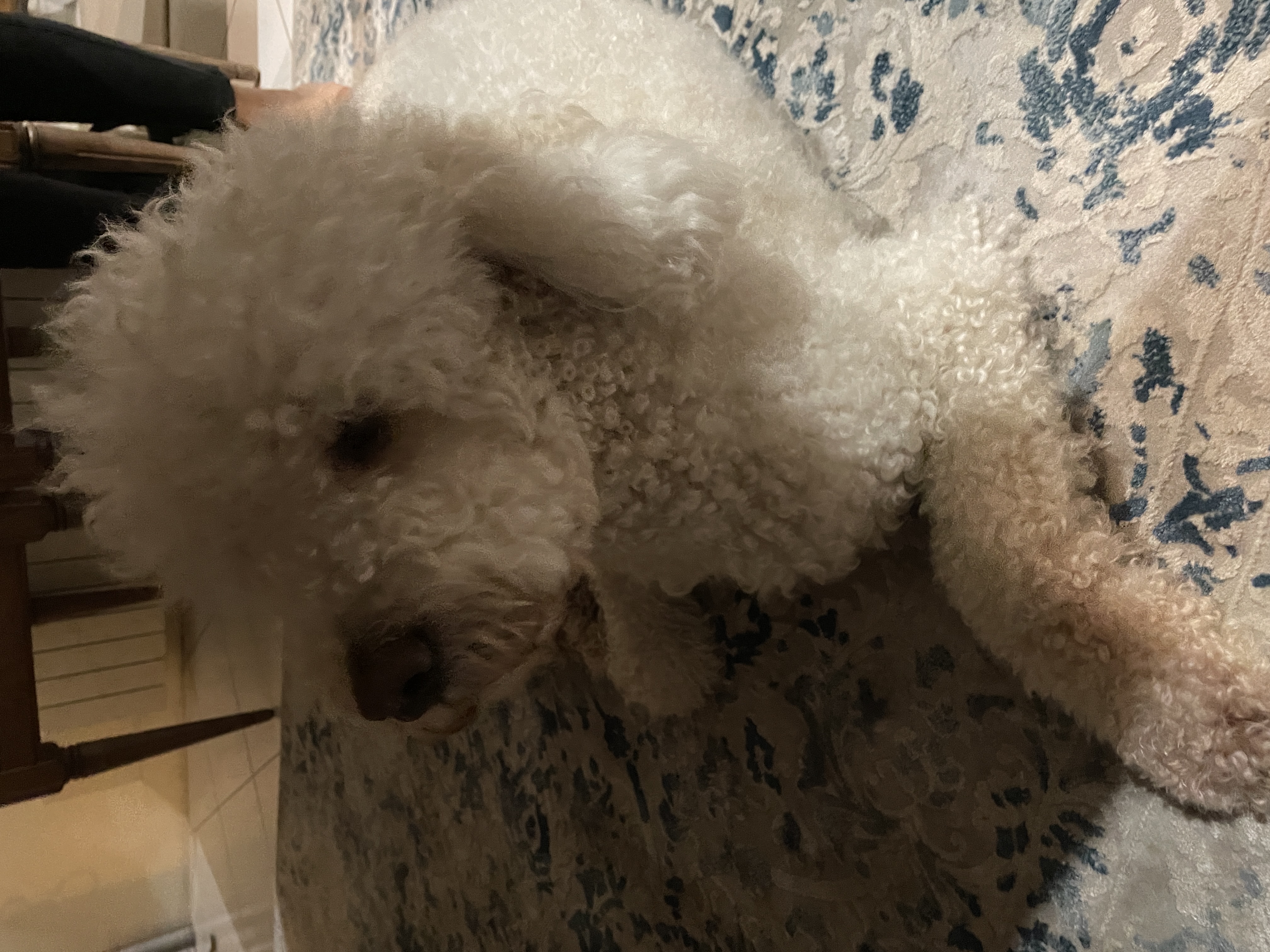 image-7