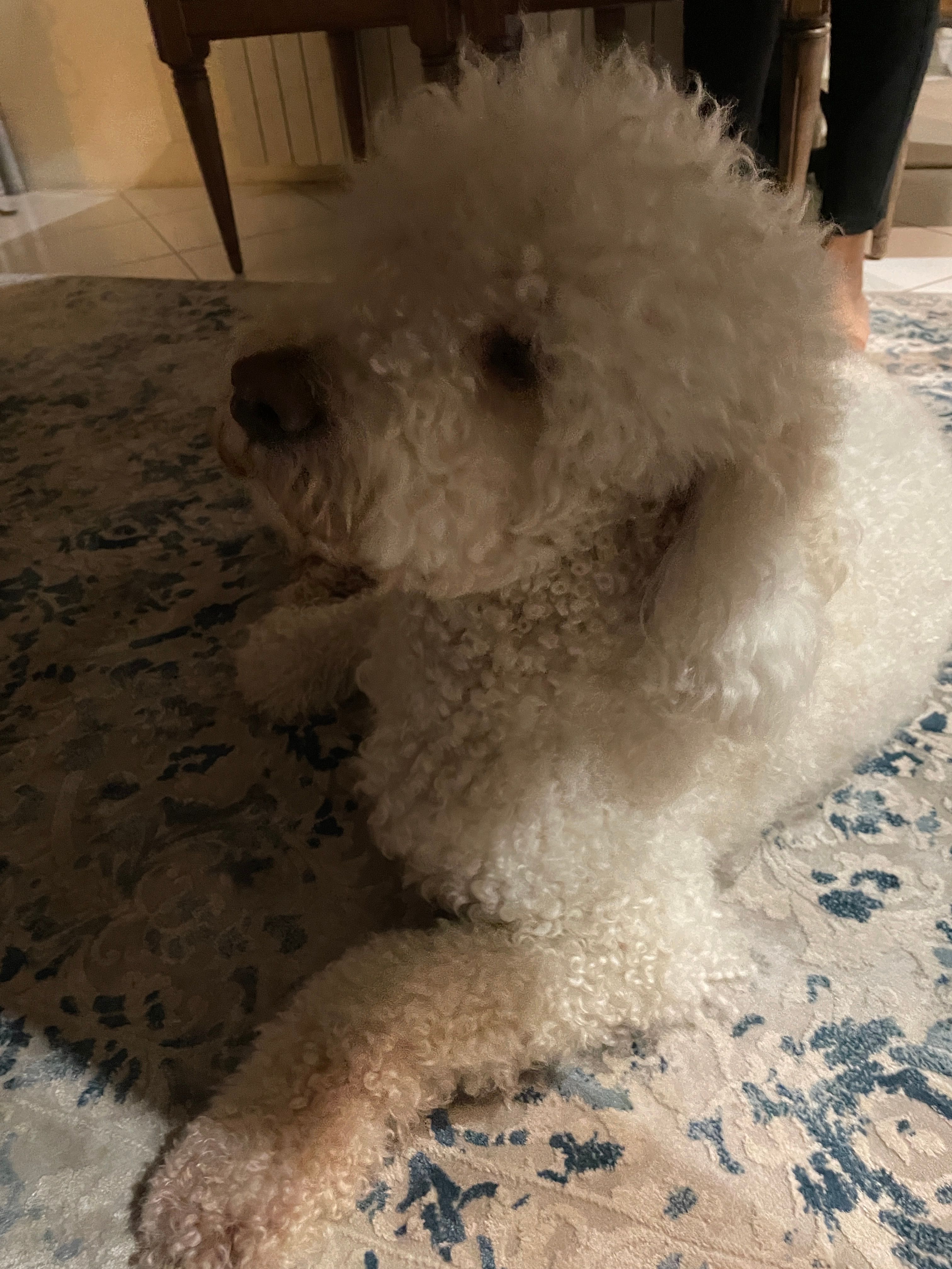 image-7
