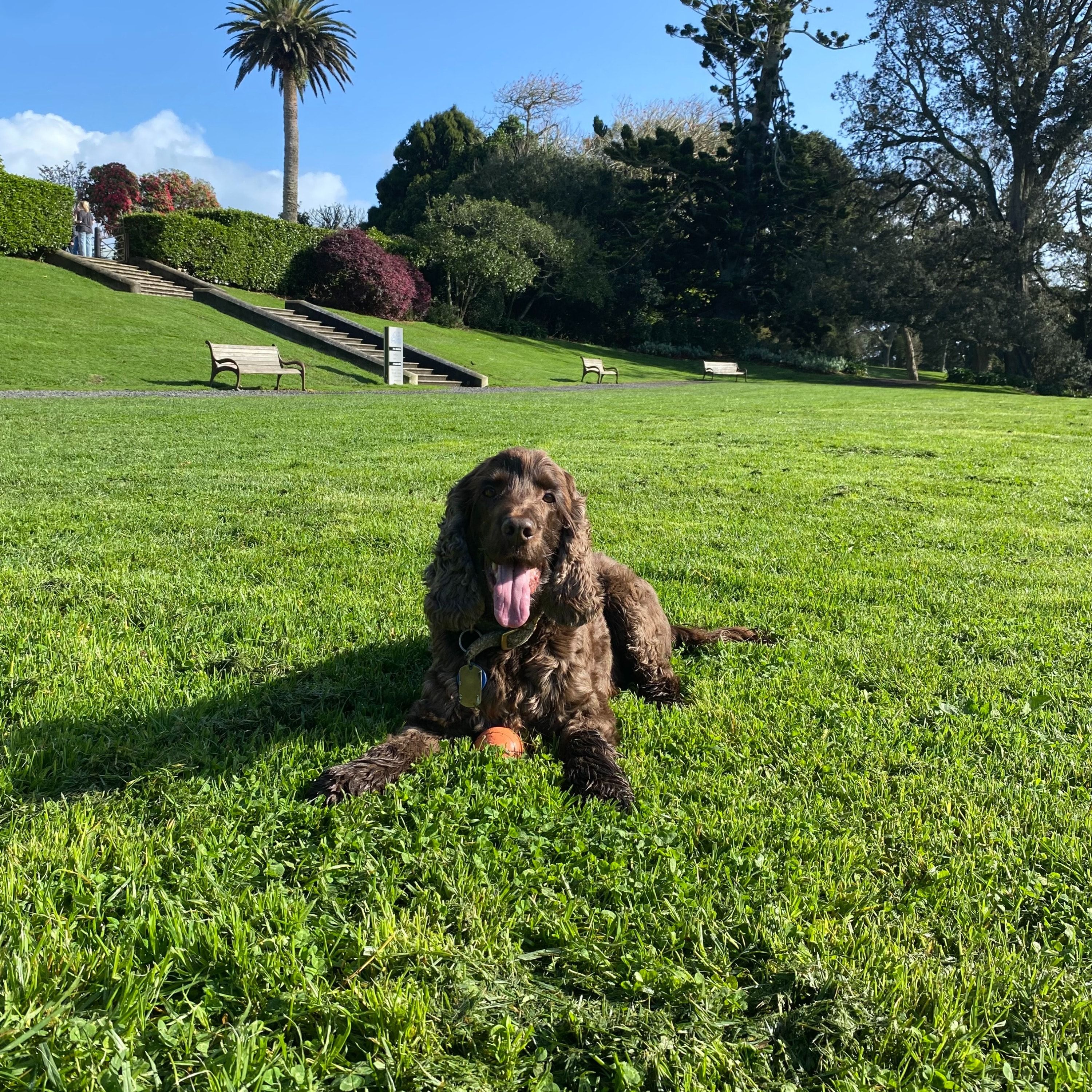 Stan