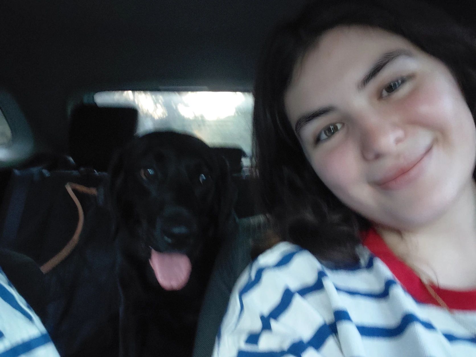 image-6