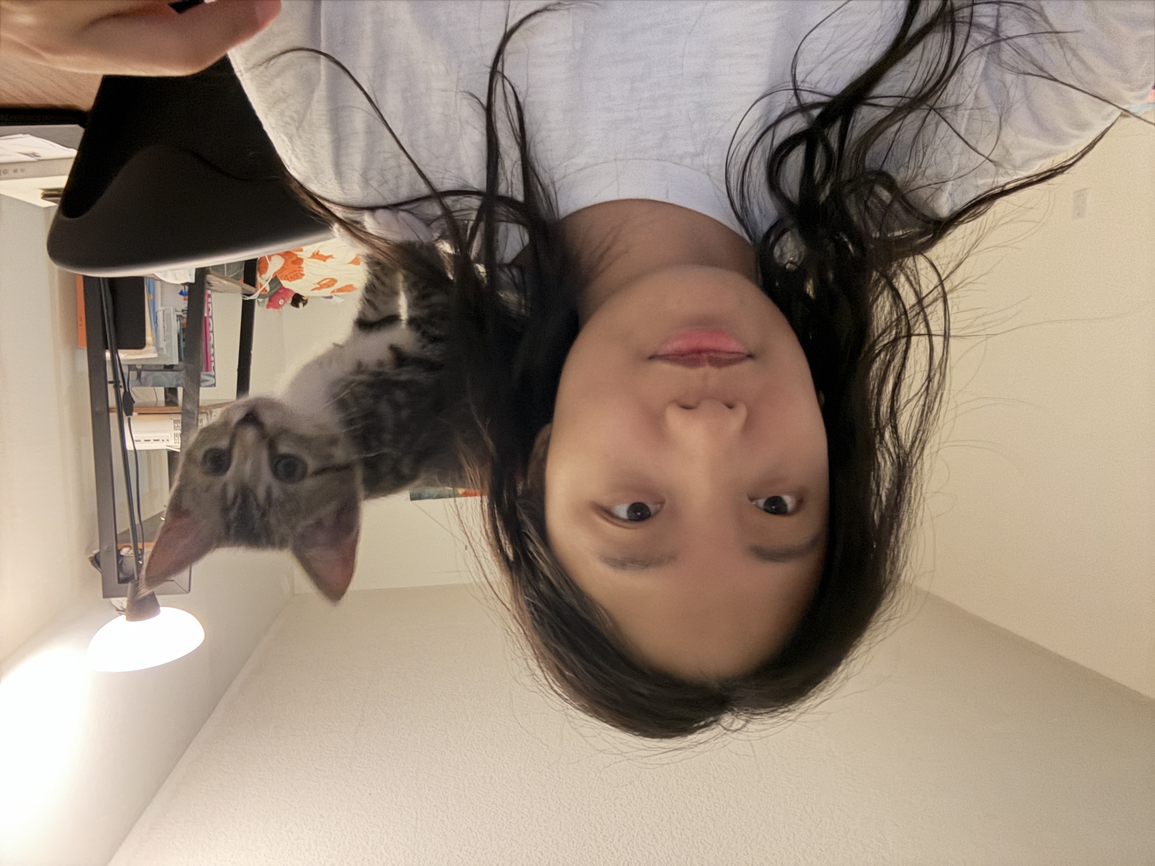 image-5