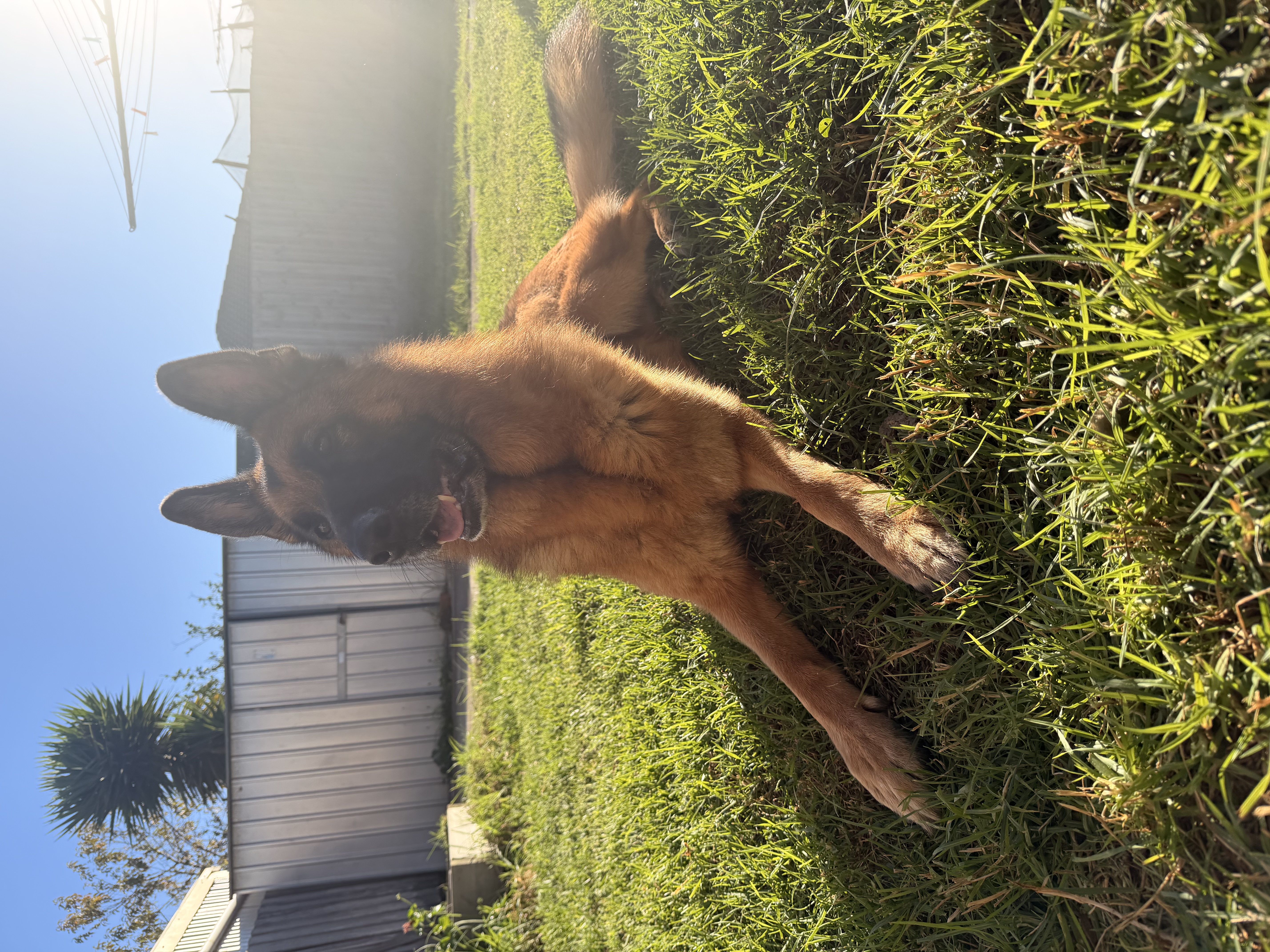 image-15