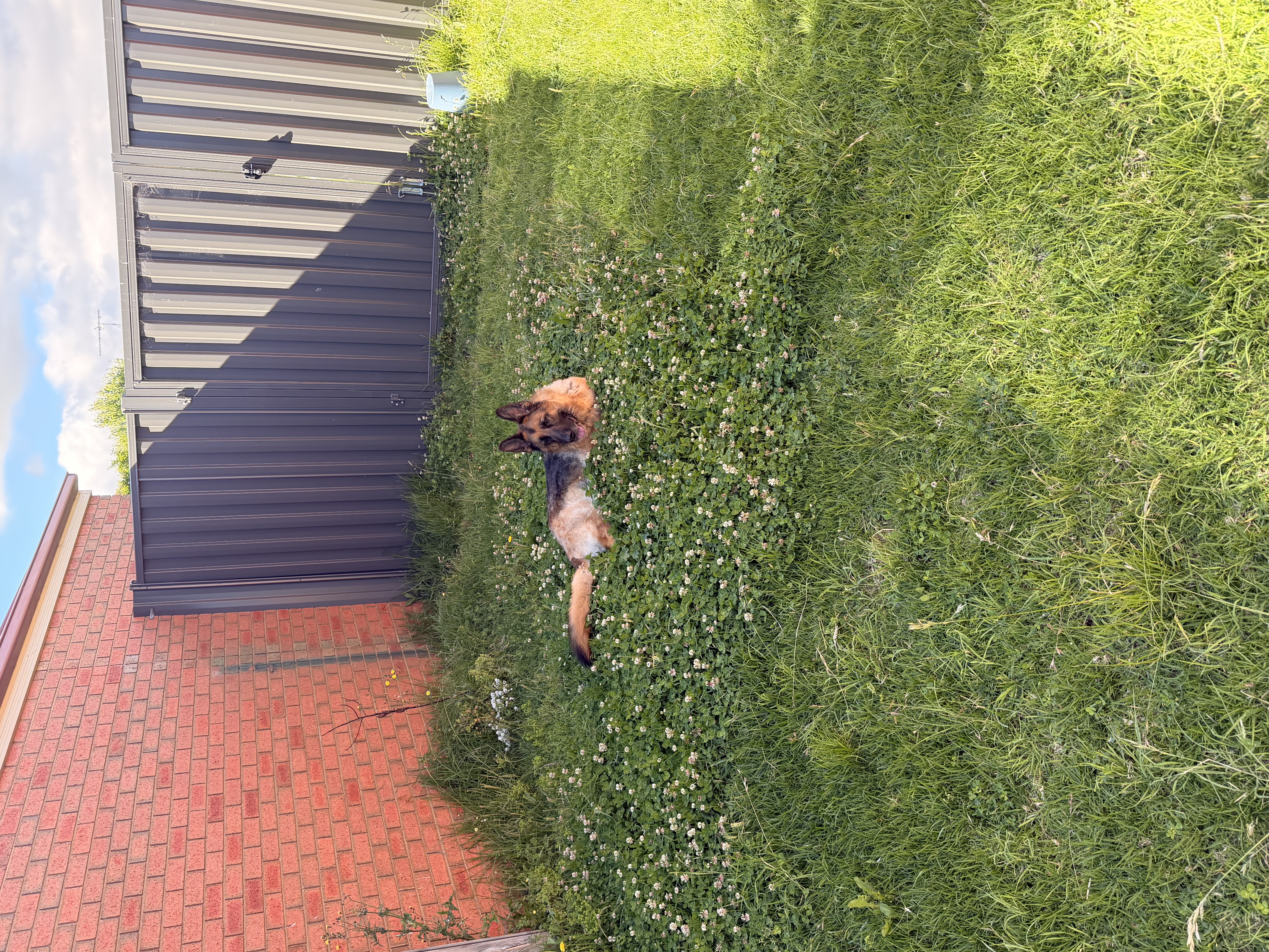 image-10