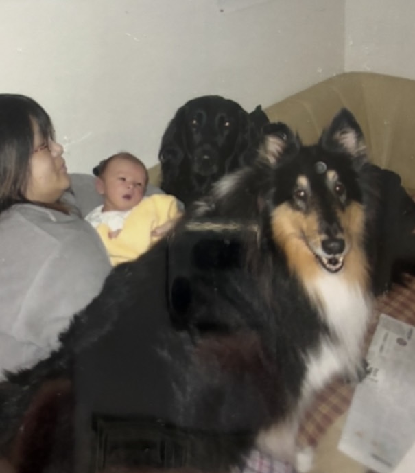 image-3