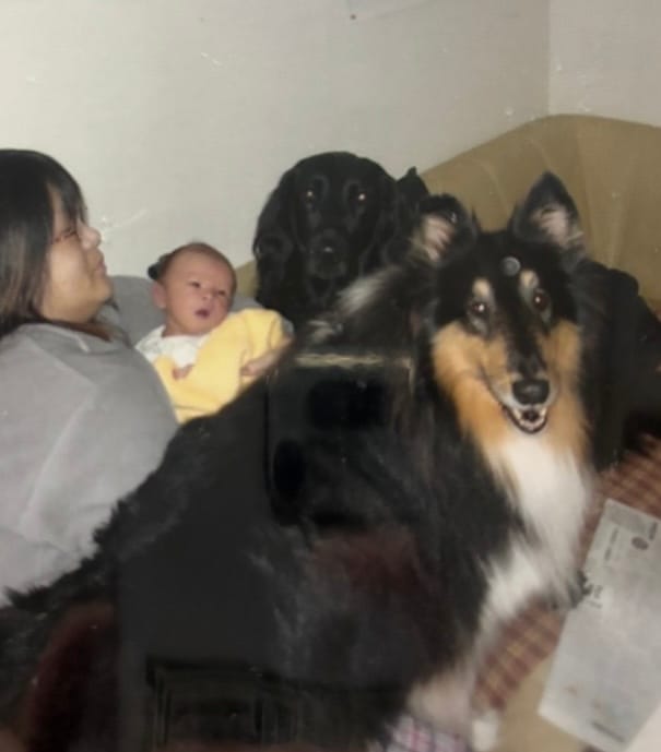 image-3