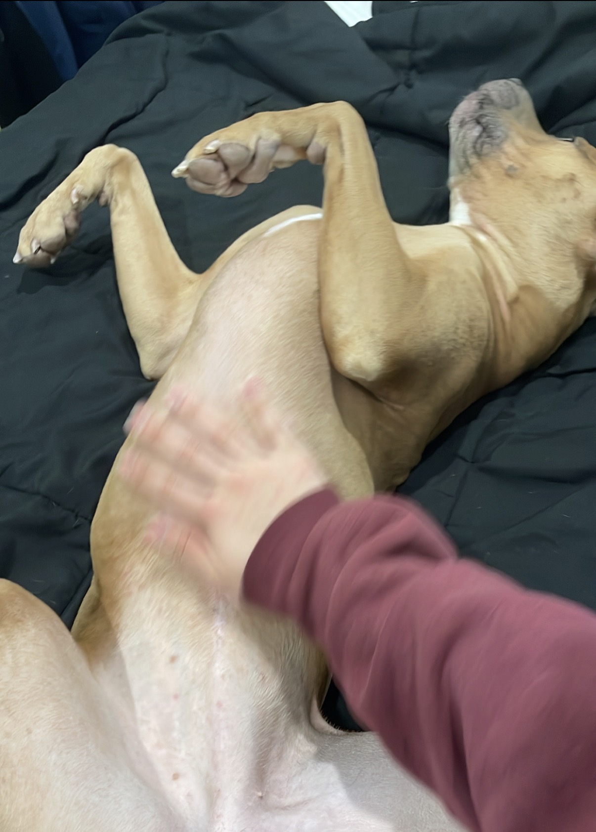 image-7