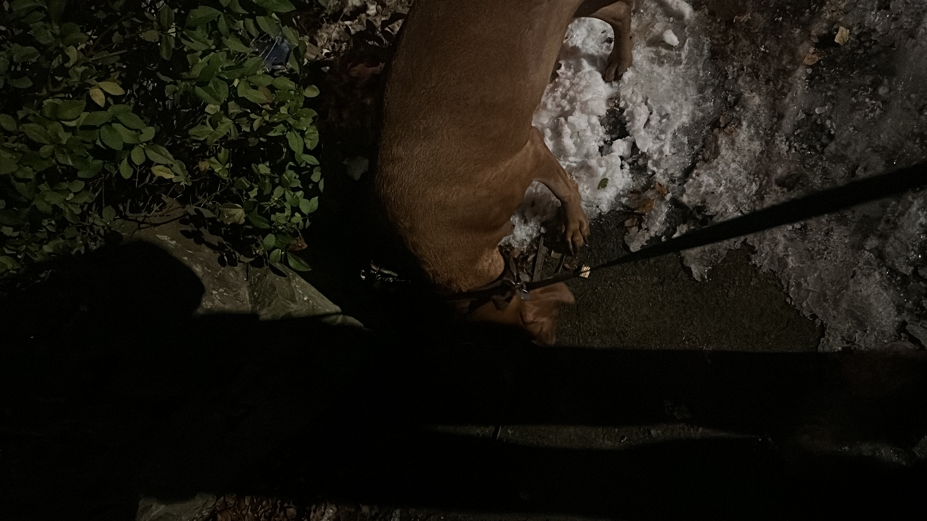 image-7