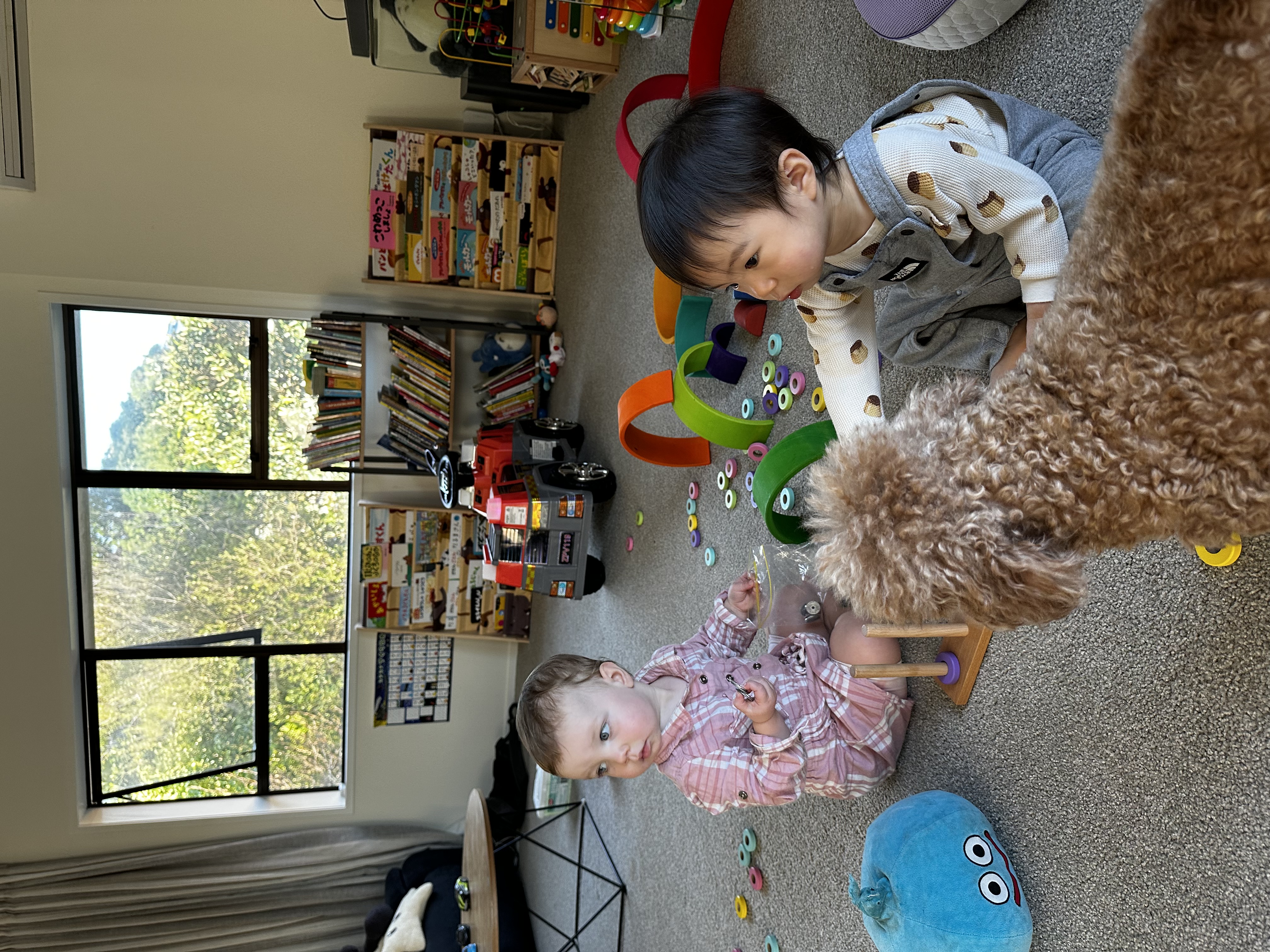 image-1