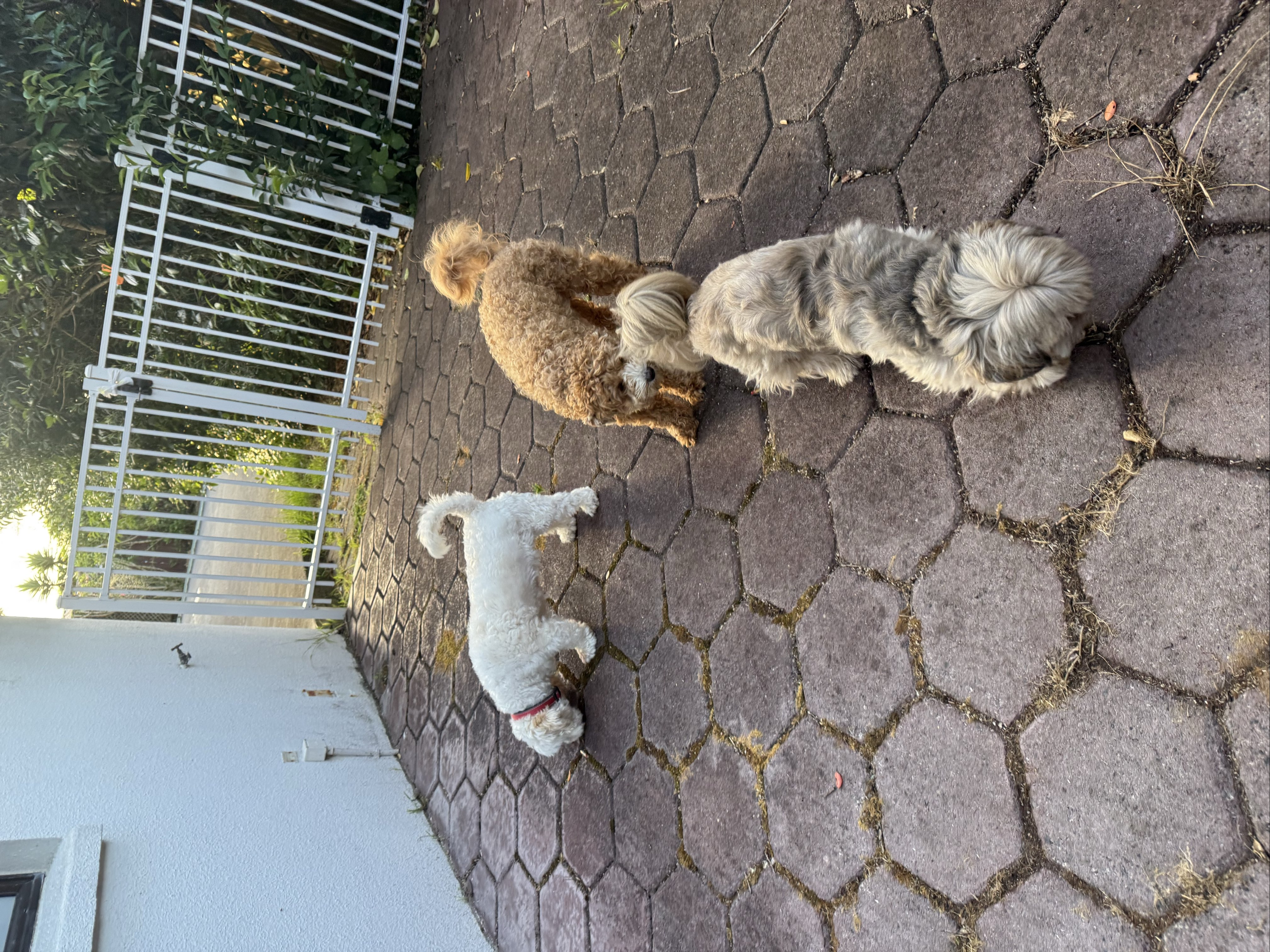 image-26