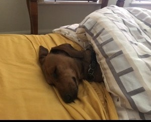 image-5