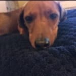Winnie