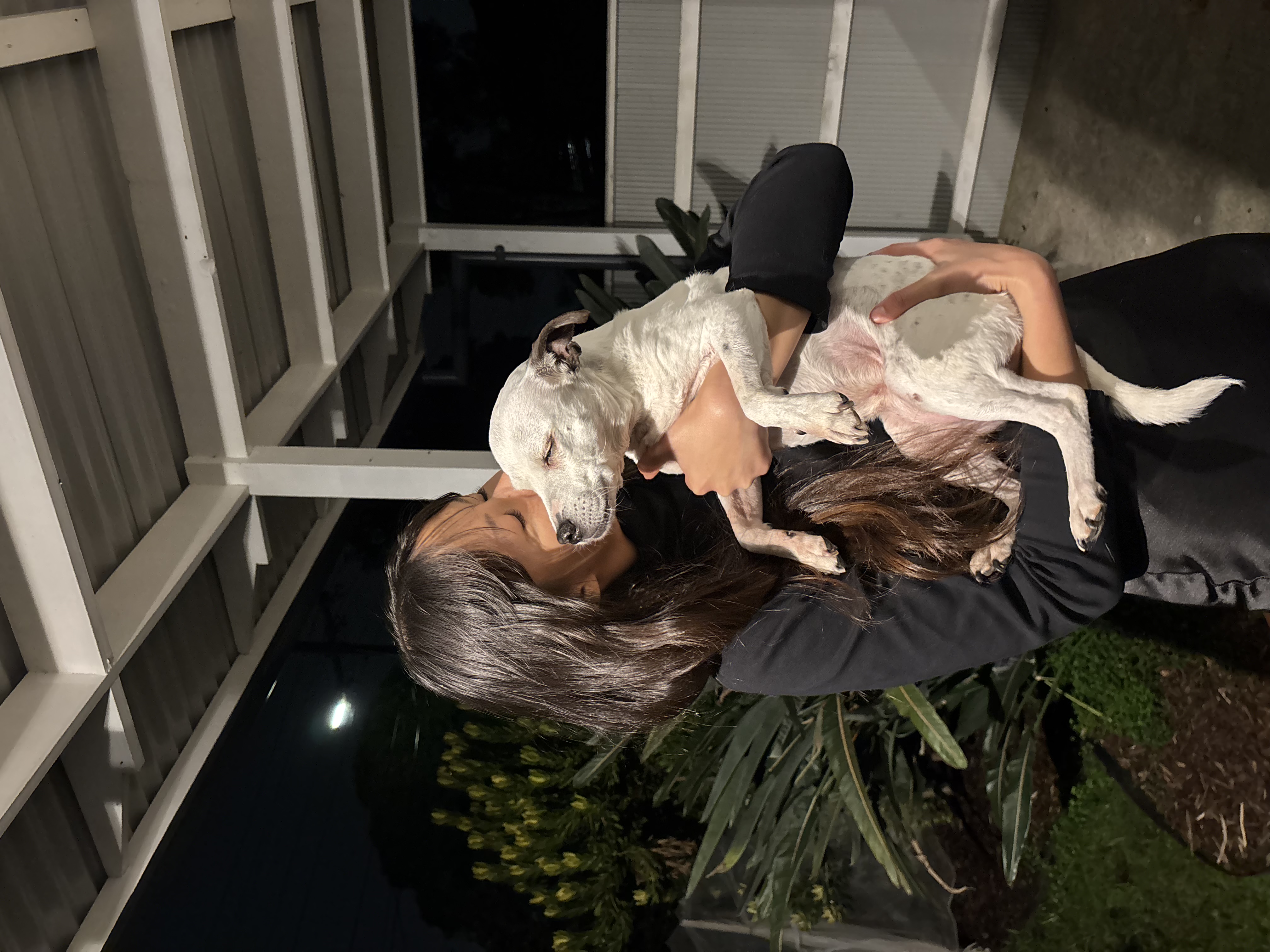 image-11