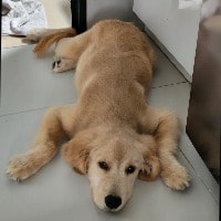 BAILEY 