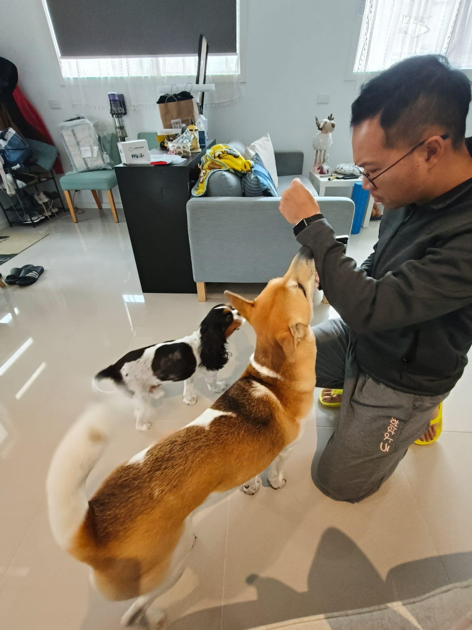 image-7