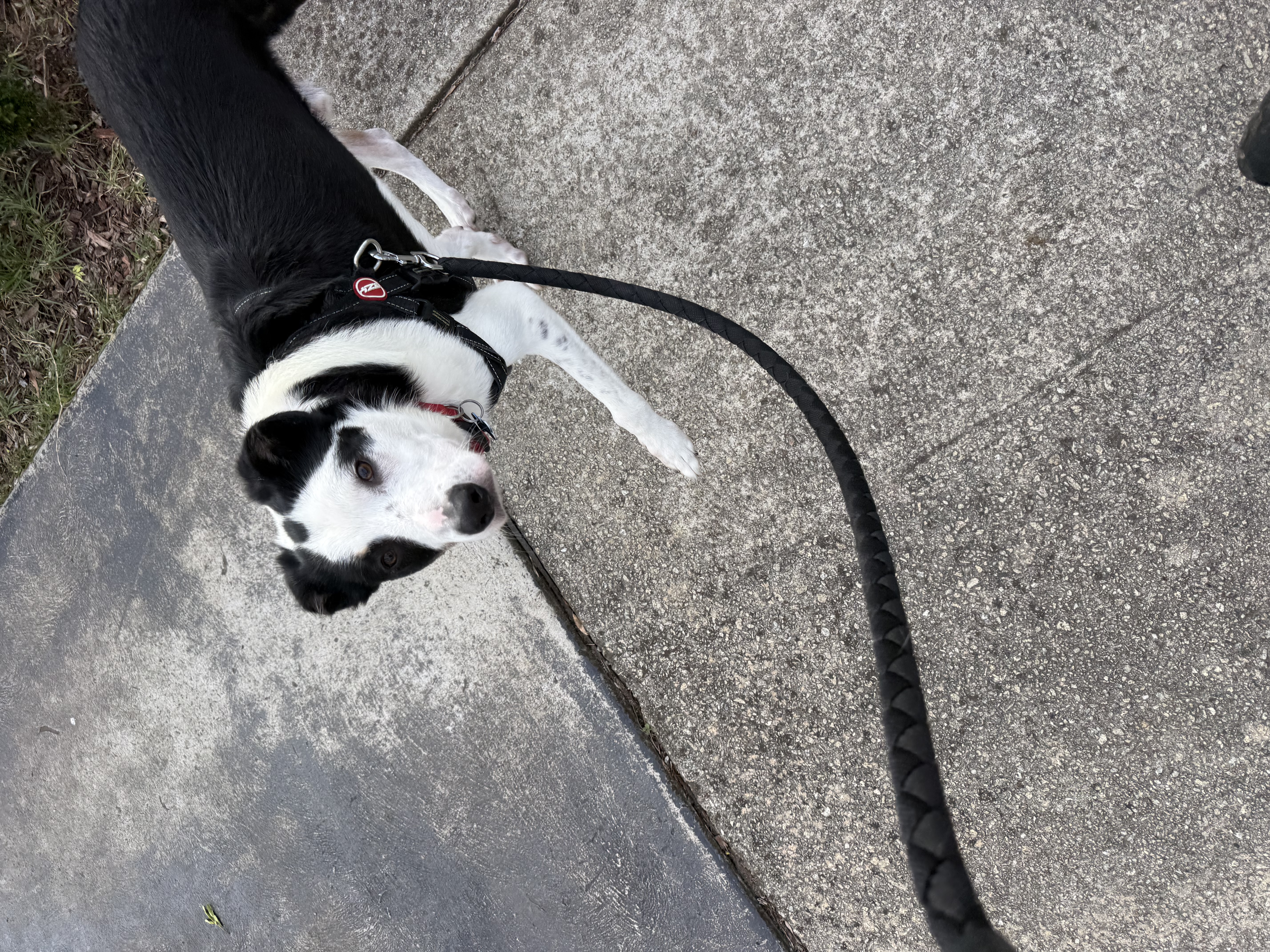 image-10
